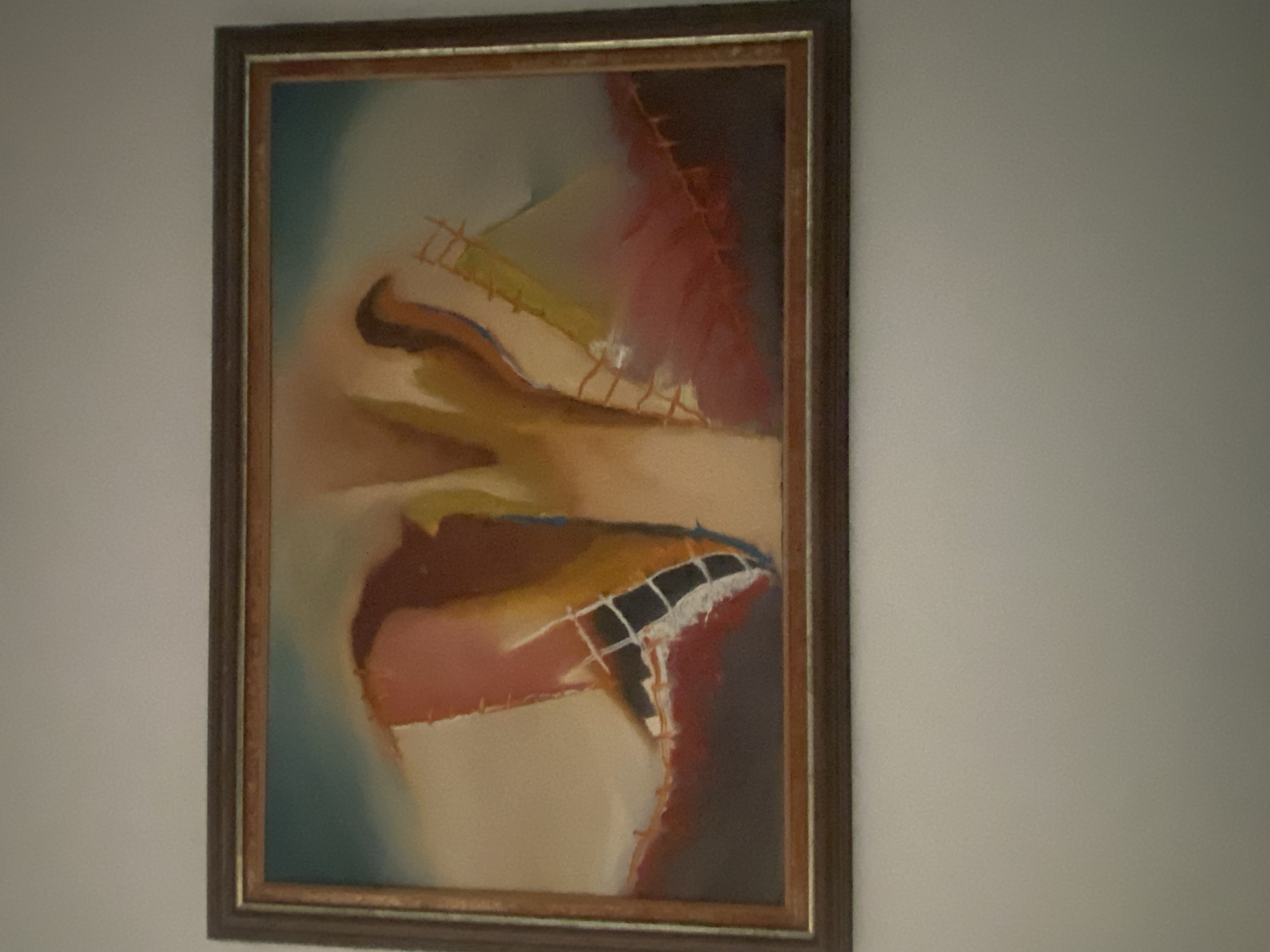 The image is a medium shot of an abstract painting in a wooden frame, hanging on a plain, light-colored wall. The painting features a blend of warm and cool colors, including shades of peach, brown, red, yellow, and blue. The style is abstract with flowing lines and shapes, suggesting organic forms. There are no people visible in the image. The painting is the sole subject of the photograph, with the wall serving as a neutral background. No specific location in Kemer, Turkey is identifiable from the image.