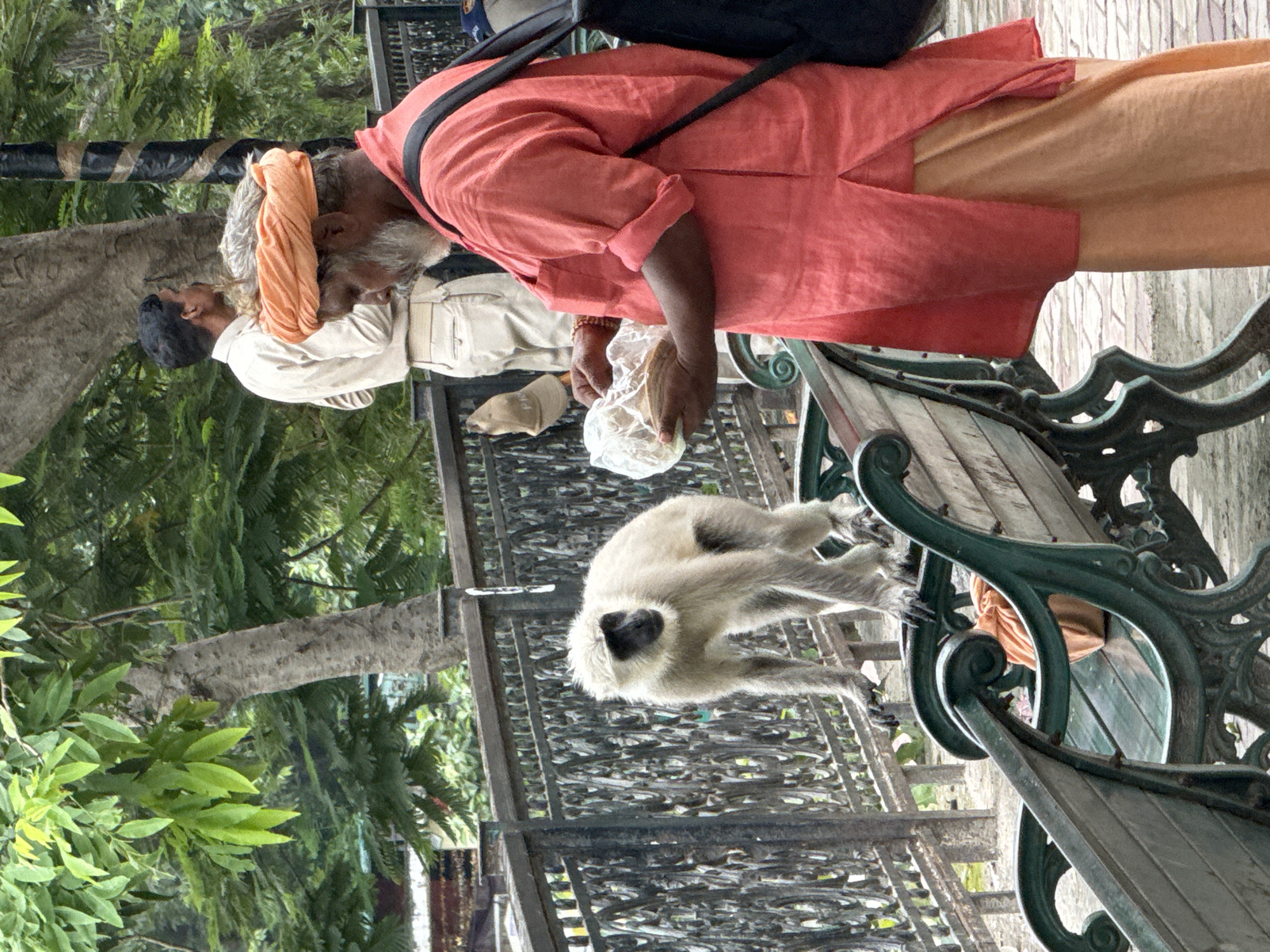 A light-colored monkey with a dark face stands on a metal fence, its paws resting on the top rail. In the foreground, a man wearing an orange turban and a coral-colored kurta holds a clear plastic bag filled with flatbreads. He has a grey beard and is looking down at the bag. Behind him, another man in a light-colored uniform stands facing away from the camera. The scene appears to be outdoors, with trees and a fence providing a backdrop. The overall impression is a street scene, possibly in Rishikesh, India, given the presence of the monkey and the traditional attire of the man.
