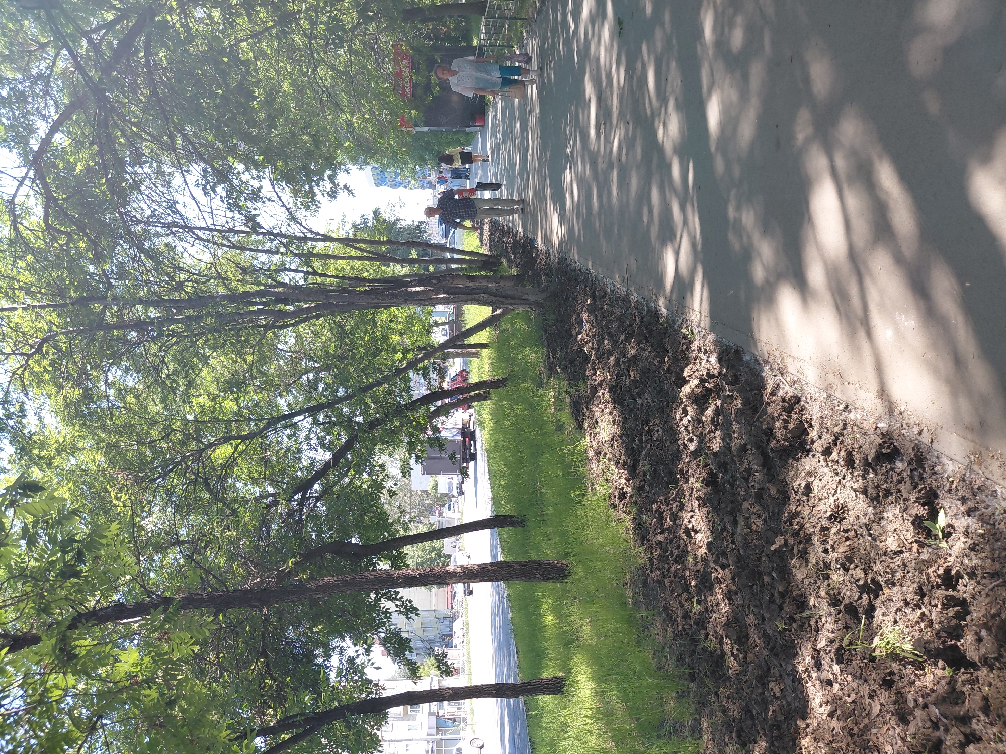 This is a medium shot, eye-level photograph of a tree-lined sidewalk next to a street, on a sunny day. The street has a traffic light and several cars and a truck are visible. On the sidewalk, two women and two men are walking away from the camera. The woman on the right is wearing a white blouse and blue jeans, carrying a light blue bag. The man walking towards the camera is wearing a plaid shirt and grey pants, carrying a black bag. To the left of the sidewalk, there is a patch of grass and some dark soil. The trees have green leaves and cast shadows on the sidewalk. Buildings are visible across the street. The scene is likely in a city park or residential area.