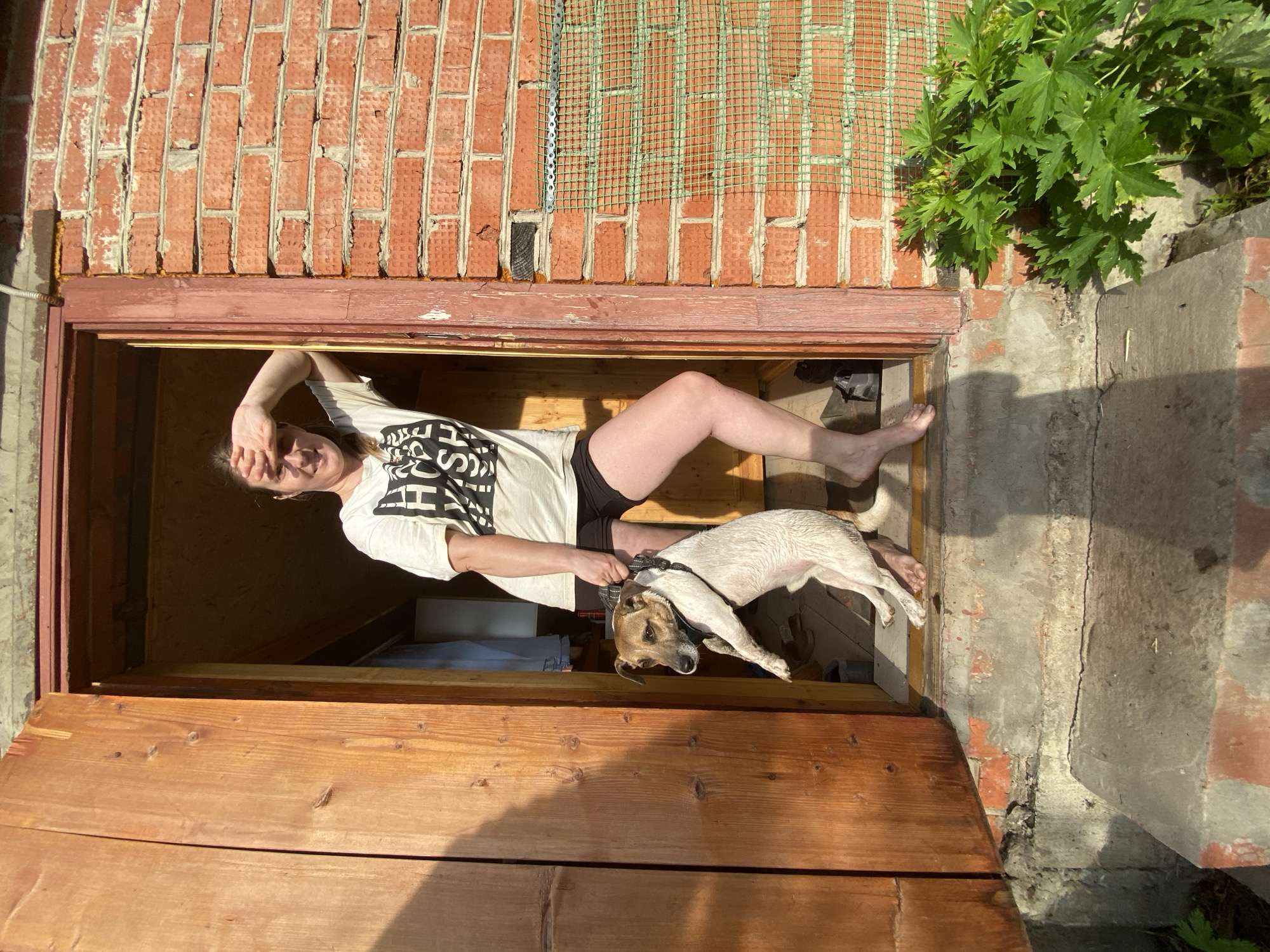 A woman and a dog are depicted interacting at an outdoor entrance, possibly a basement or cellar opening. The woman, wearing a white t-shirt with black text and black shorts, stands within the wooden frame of the opening. She is smiling and shielding her eyes with her left hand, suggesting bright sunlight. Her right hand holds the collar of a medium-sized, light-colored dog, which appears to be in mid-motion, either being lifted or stepping out of the opening. The dog is looking back towards the woman.
The setting is outdoors, characterized by a weathered red brick wall to the left and above the opening. A green mesh material is partially attached to the brick wall above the doorway. To the right, lush green foliage grows beside concrete structures and more brickwork. The immediate foreground features a wooden surface, likely a ramp or the closed lid of the cellar, and the wooden door frame itself. The interior of the opening appears dark with hints of wooden or concrete structures within.
The scene is illuminated by strong, direct sunlight, casting distinct shadows and highlighting the textures of the brick and wood. The time of day appears to be sunny daytime, likely late morning or afternoon given the light quality. Partial black text reading "SSH" and "F S P" is visible on the woman's white t-shirt. The overall mood is casual and bright.