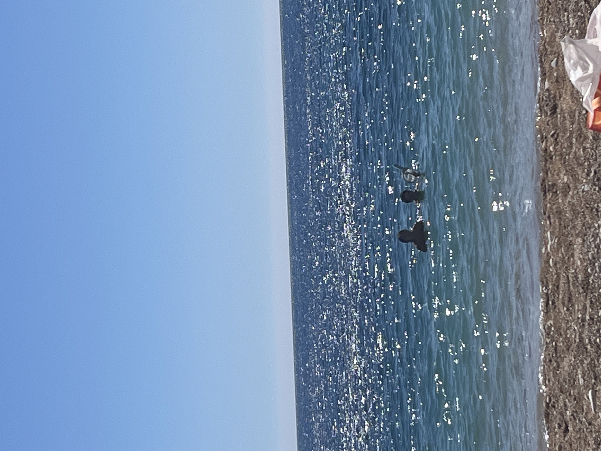 This image shows a view of the Mediterranean Sea from the beach of El Poble Nou de Benitatxell/Benitachell, Spain. The left side of the image is dominated by a clear blue sky. The right side depicts the glittering surface of the sea, with two people swimming in the water. A pebbly shoreline is visible at the very right edge of the image, alongside some white fabric/plastic. The sunlight causes sparkles to dance across the water's surface, creating a bright, reflective effect. The image is vertically oriented.