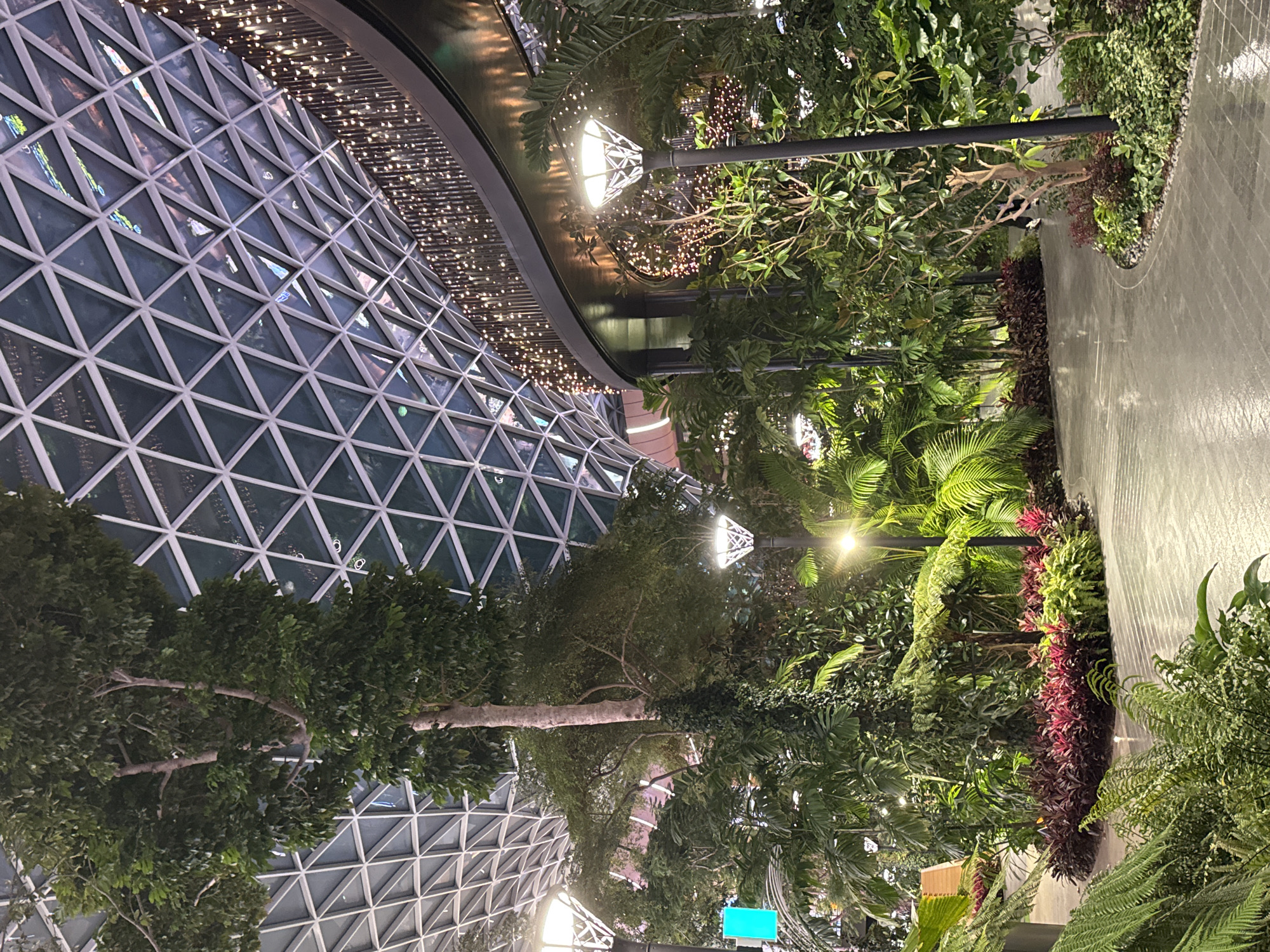 The image depicts an indoor garden area with lush greenery, trees, and a winding pathway. The ceiling is a geodesic dome structure with a diamond-patterned glass roof. String lights are draped along a curved walkway overhead. The pathway appears wet, possibly from recent watering or cleaning. Several modern lampposts with geometric designs illuminate the space. In the background, a light turquoise rectangular sign is visible. The overall ambiance is serene and tropical, suggesting a climate-controlled environment designed for relaxation and enjoyment. This scene is located in the Jewel Changi Airport, Singapore, not Doha, Qatar.
