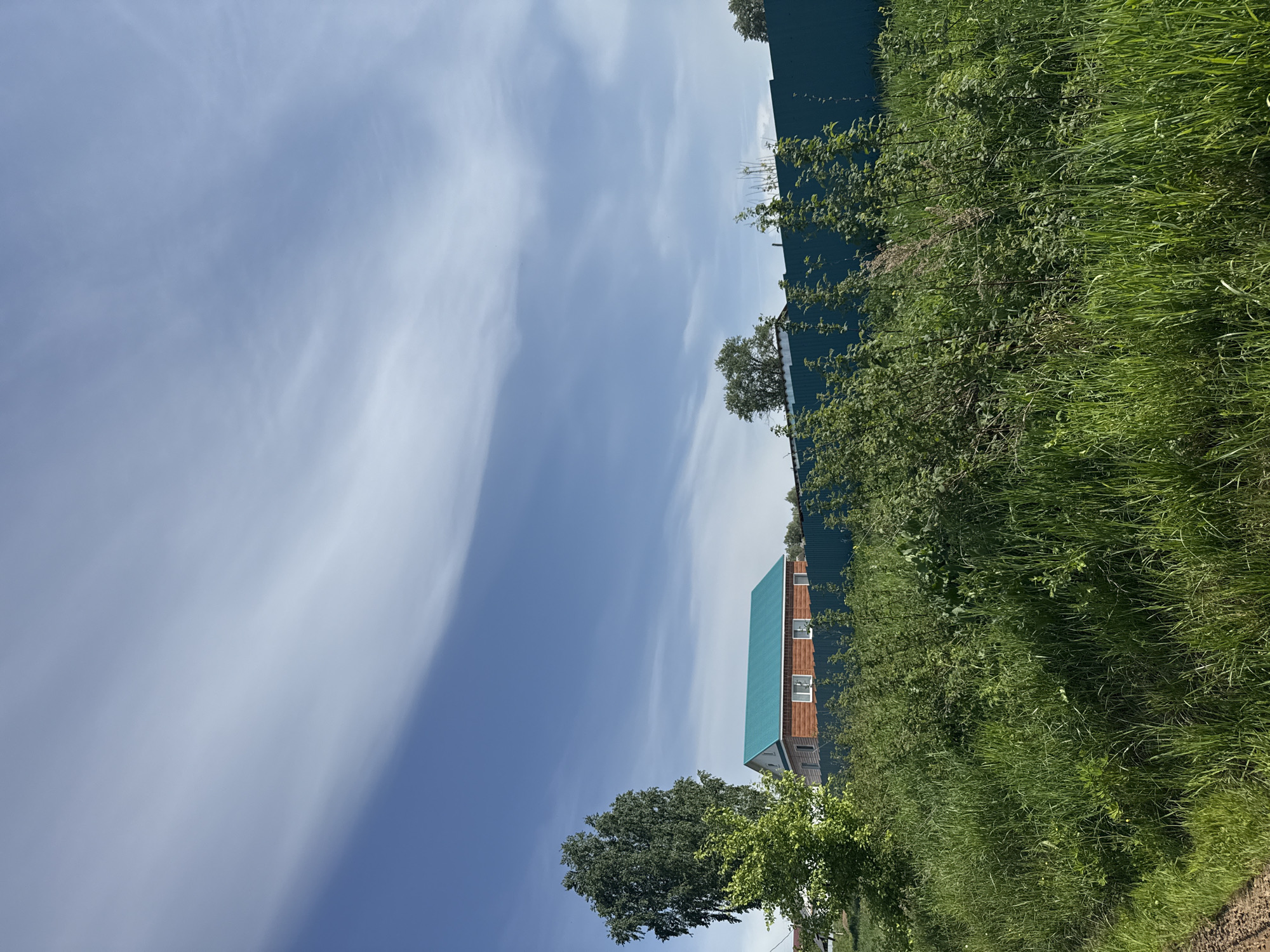 The scene is a rural or suburban landscape in Уральское, Russia. A house with a teal roof and light brown siding is partially obscured by overgrown grass and bushes. A tall, green fence stretches along the top of the image, further indicating the boundary of the property. The sky is blue with elongated, wispy clouds dominating the upper left portion of the frame. A few trees are scattered around, some in front of the house and along the roadside. The photograph is taken from a low angle, emphasizing the height of the fence and the sky. There is no visible evidence of people or animals.