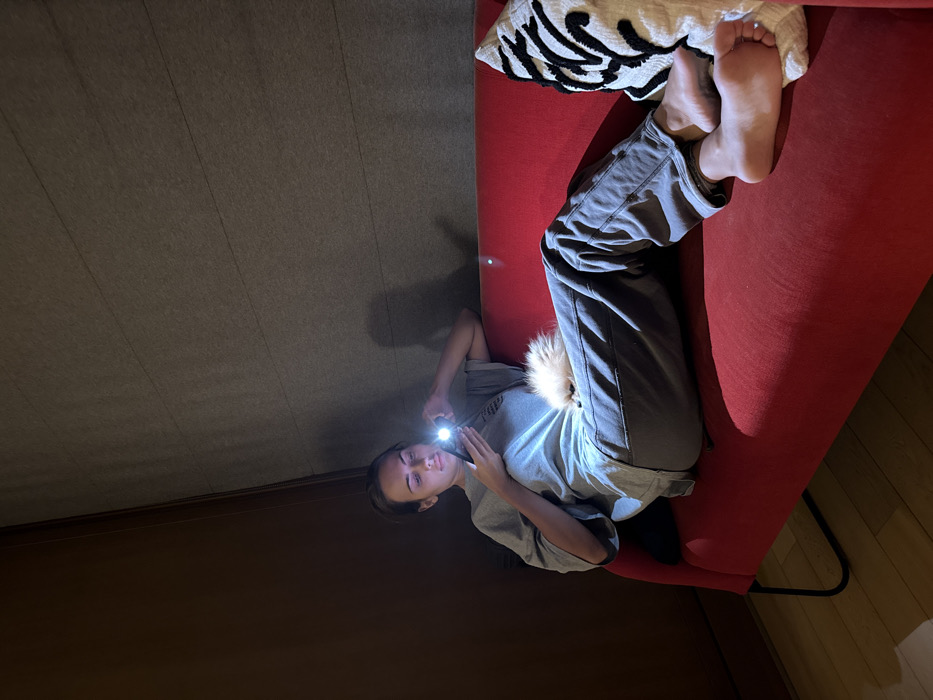 The image depicts an indoor residential or lounge setting in Warsaw, Poland. The specific address or area within the city is not discernible from the visual information.
A single adult female is seated barefoot on a red fabric sofa, facing slightly right and looking down at a smartphone held in both hands. Her dark hair is pulled back. She wears a light grey oversized t-shirt and dark grey sweatpants. The smartphone emits a bright white light, illuminating her face and upper torso, serving as the primary light source in the dimly lit environment. A small, fluffy, light-colored dog, possibly a Pomeranian, rests curled up on her upper thigh/lower torso, appearing to be asleep or very still.
The sofa has black metal legs and a slightly curved back. To the right of the female's feet, a white throw pillow with black abstract or striped patterns is visible. The wall behind the sofa features a horizontally textured or paneled surface in a neutral grey tone. To the left, a dark brown, vertically paneled surface or door is visible. A small section of light-colored wooden flooring is visible in the lower left foreground. Shadows are prominent due to the localized light from the phone. The overall ambiance is relaxed and focused on the individual's interaction with the device.