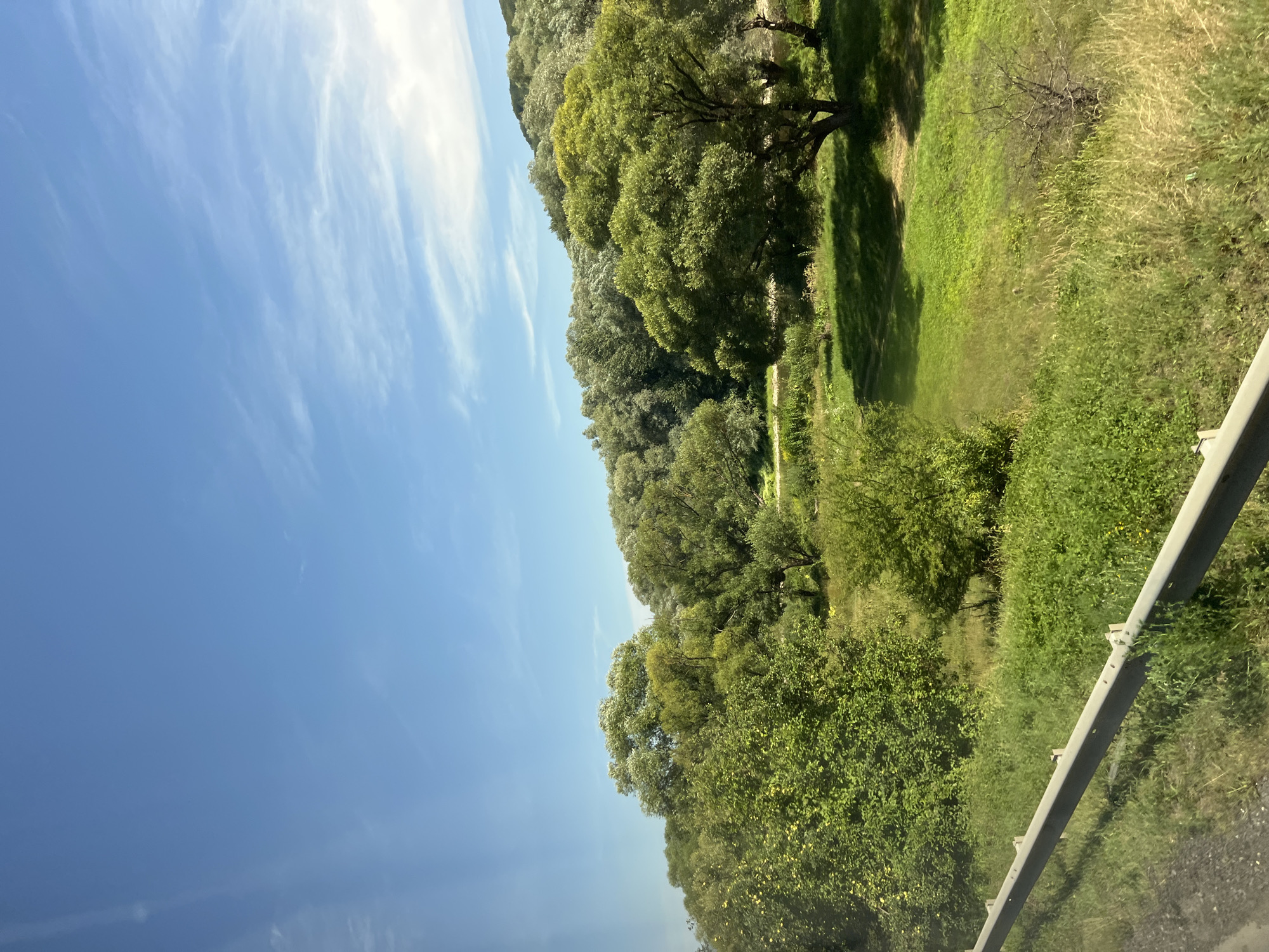 A bright, sunny day illuminates a lush green landscape with rolling hills covered in dense trees. A clear blue sky with wispy white clouds stretches overhead. In the foreground, a grey metal guardrail runs along the edge of a road, with tall grasses and low-lying green vegetation flanking it. The trees on the hills are varied in shape and shade of green, suggesting a mix of deciduous and possibly some evergreen varieties. The overall impression is one of natural beauty and tranquility.