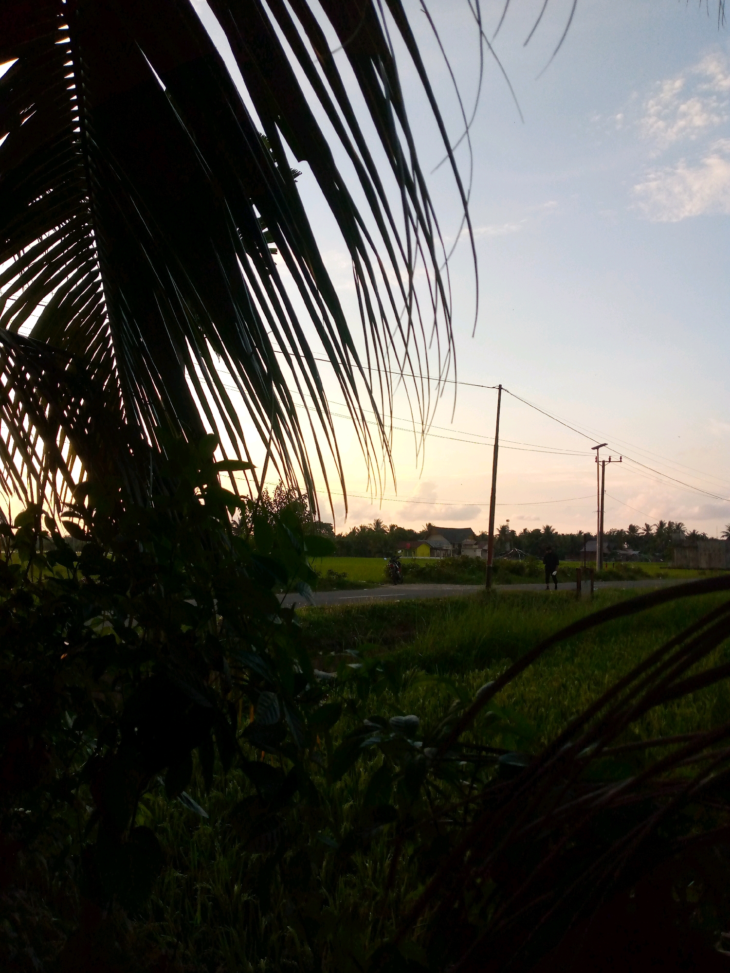 This is a medium-shot, horizontal, outdoor photograph taken during the golden hour at sunset in Kutaglumpang, Indonesia. The foreground is dominated by the dark silhouette of palm fronds, obscuring a significant portion of the lower half of the frame. Beyond the palm fronds, a road runs horizontally across the middle ground, separating a vibrant green field on the right from a darker, lush green landscape on the left. A single figure, appearing to be a male wearing dark clothing, walks along the road, facing towards the right side of the image. To the left of the road, a motorcycle is parked. In the background, several houses with peaked roofs are visible amidst a dense arrangement of palm trees, indicating a rural or semi-rural setting. Utility poles with power lines stretch across the scene, and the sky above is a soft gradient of pale blue and peach, with scattered wispy clouds, suggesting the end of the day. The overall impression is one of tranquility and a rural Indonesian landscape at dusk.