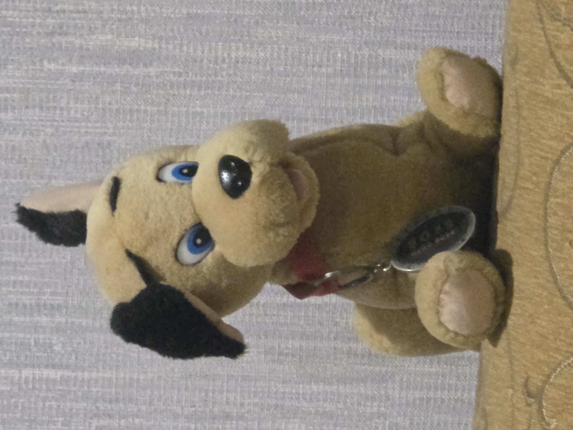 A tan stuffed dog with blue eyes and black ears sits on a textured brown surface, possibly a couch or blanket. The dog is facing slightly to the left of the viewer, with its head tilted. It wears a red collar with a metallic tag attached. The background is a textured gray wall. The lighting is neutral.