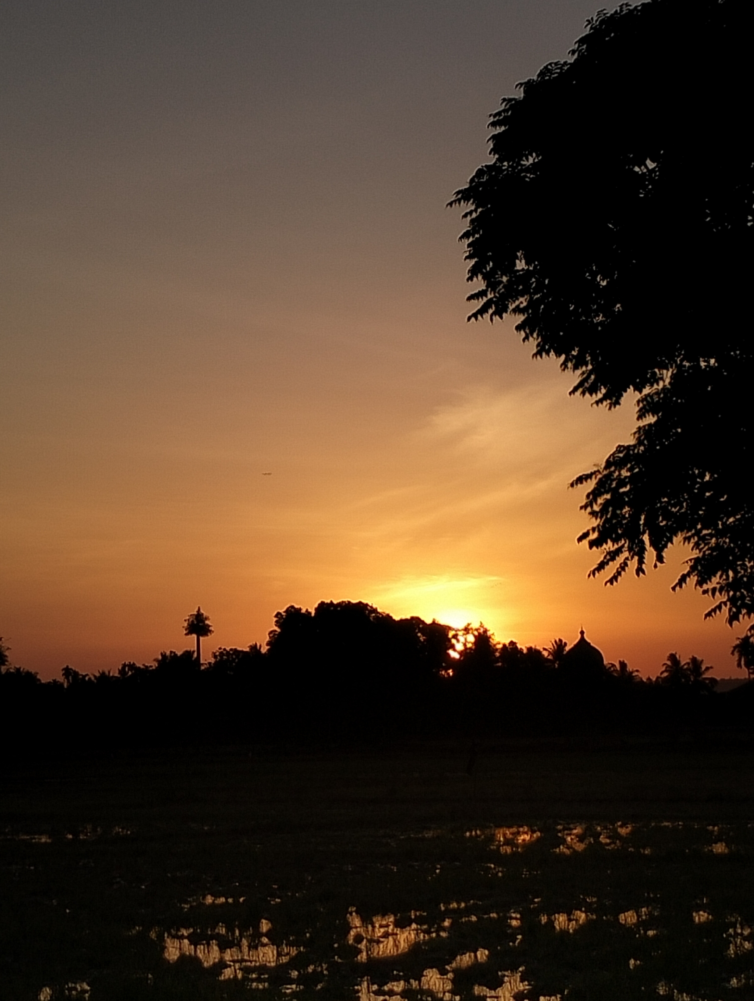 A silhouette of a tree's canopy dominates the upper right corner of the frame against a gradient sky transitioning from pale yellow at the horizon to a dusky gray at the top. The horizon is lined with a dark silhouette of trees, with a prominent, tall, slender tree shape in the left-center and a domed structure, possibly a mosque or temple, visible among the trees to the right. The sun, a bright orange orb, is partially obscured by the trees, casting a warm glow. Below the horizon, a dark, reflective surface, likely water in a field, mirrors the faint light and shapes of the silhouetted landscape. A faint, small, distant object, possibly an airplane, is visible in the upper left portion of the sky. The scene appears to be an outdoor landscape at dusk, near Meunasahalue, Indonesia.