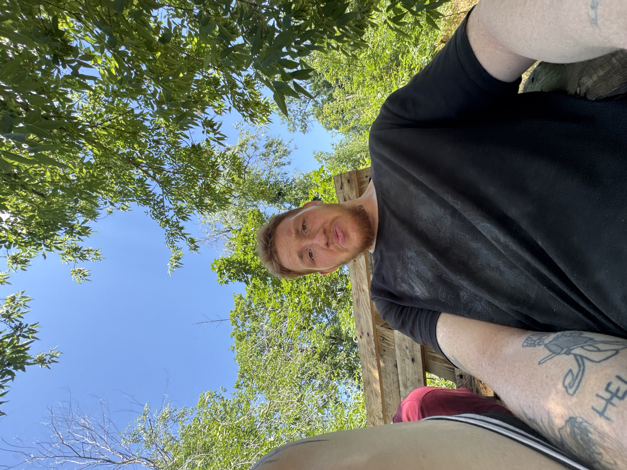 A young man with auburn hair and a beard is sitting on a wooden bench outdoors. He is wearing a black t-shirt and has tattoos on his arm. The background is filled with lush green trees and a bright blue sky. The perspective of the photo is a close-up selfie, with the man's face occupying a significant portion of the frame.