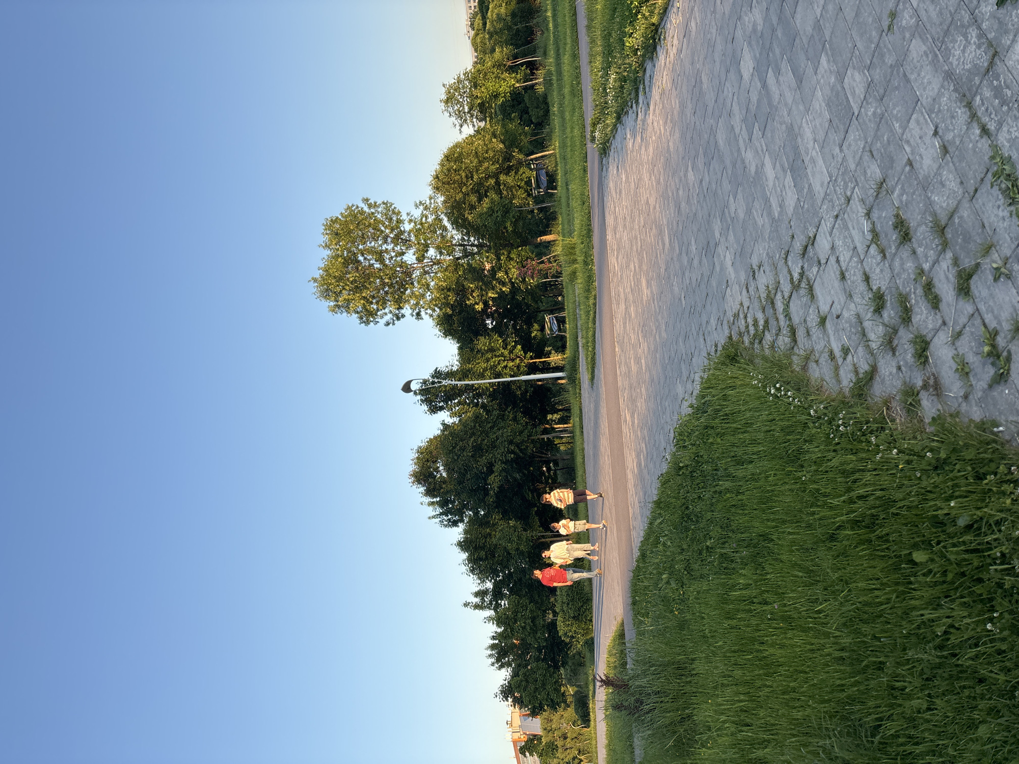 The image depicts an outdoor scene identified as a park or green space within the city of Murino, Russia, during what appears to be late afternoon or early evening.
The upper approximately two-thirds of the frame is dominated by a clear, gradient blue sky, transitioning from a deeper blue at the zenith to a paler blue near the horizon. No clouds are visible.
A dense line of mature deciduous trees with lush green foliage forms the main background, spanning across the width of the image. On the far left, beyond the tree line, faint outlines of multi-story residential or commercial buildings are discernible against the sky, indicating an urban or suburban setting.
In the midground, a group of four individuals is walking on a paved pathway from left to right. The first individual, an adult male, wears a red short-sleeved shirt, blue trousers, and light-colored shoes. The second, an adult female, wears a light-colored (possibly cream or white) long-sleeved top and light-colored trousers. The third individual, a child, wears a light-colored short-sleeved top, light-colored shorts, and light shoes. The fourth individual, also a child, wears a horizontally striped short-sleeved shirt (with yellow and lighter stripes), dark shorts, and dark shoes. All individuals are looking forward, and their elongated shadows are cast behind them to the left, consistent with a low sun position to the right of the frame.
The paved pathway, constructed from rectangular gray pavers laid in a repetitive pattern, extends into the foreground and curves gently towards the right. To the right of the pathway, an expanse of green grass contains several additional trees of varying heights and density. Two public benches, featuring dark frames and lighter seating surfaces, are partially visible amongst the trees. A tall, slender street lamp post with a dark fixture stands vertically on the far right of the frame, partially obscured by foliage.
The foreground on the left and bottom is covered with dense, unmanicured green grass, containing small white wildflowers along the edge of the paved path. Some weeds and small grass shoots are growing in the cracks between the gray pavers, particularly in the immediate foreground. The paving stones themselves show signs of minor wear and potential dirt accumulation.
The scene is illuminated by natural, warm-toned sunlight, indicative of the golden hour. This lighting casts pronounced shadows and highlights the right sides of trees, individuals, and the paved surfaces.
