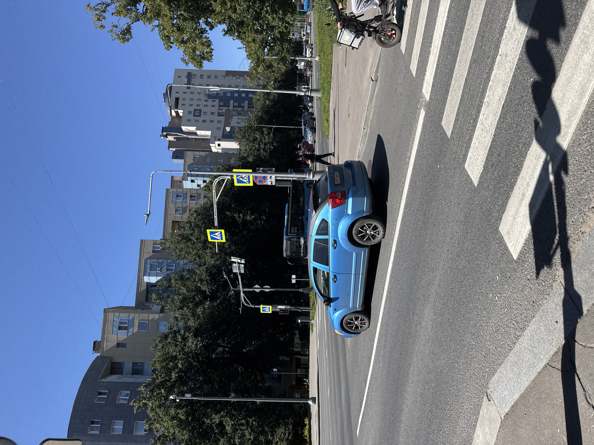The image shows a clear, sunny day in Zelenograd, Russia, likely near a busy intersection. In the foreground, a blue Dodge Caliber hatchback is driving on a multi-lane asphalt road. A pedestrian crossing with white stripes is visible across the road. To the right, a person on a black electric scooter with a large white cargo box is crossing the street. Behind the car, a dark blue bus is stopped. In the background, several multi-story apartment buildings with modern architecture, characterized by varying facades and window designs, are visible amidst lush green trees. Traffic lights and pedestrian crossing signs are present at the intersection. The sky is a bright, cloudless blue.