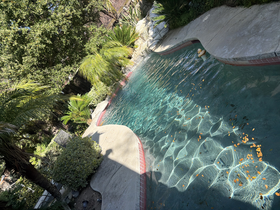 The image depicts an outdoor swimming pool area in Santa Clarita, United States of America, under bright sunlight. The irregularly shaped pool contains clear, turquoise-colored water with numerous small, orange-brown leaves or petals floating on its surface. Sunlight creates wavy light patterns on the water and pool bottom. The pool perimeter features a light grey concrete coping, with a red brick-like tile border at the waterline. Lush green vegetation surrounds the pool, including a prominent palm tree and a dense, variegated bush on the left, along with multiple smaller palm trees, broad-leaved trees, and ground cover elsewhere. Decorative rockwork is visible along the pool's edge on the right. A small, light-colored inflatable object, resembling a duck, floats near the far right edge of the pool. Shadows are cast by the coping onto the pool deck and into the water. A segment of a dark wooden fence and a distant building structure are partially visible through the dense background foliage.
