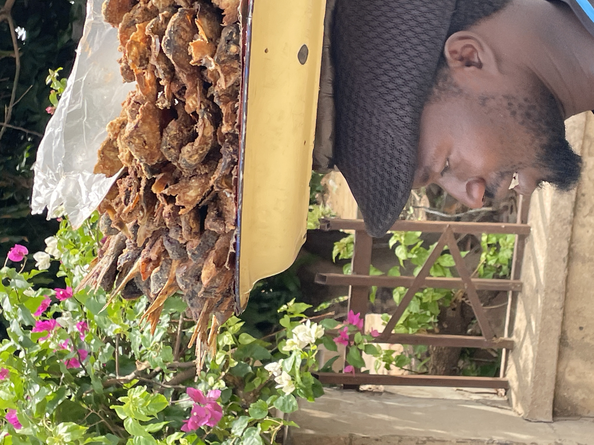 A man stands by a yellow vendor's cart laden with a large quantity of fried fish, likely for sale. The cart is surrounded by bougainvillea plants with pink and white flowers. In the background, a rusty metal gate and a concrete wall are visible, with greenery behind the gate. The location appears to be Jos, Nigeria.