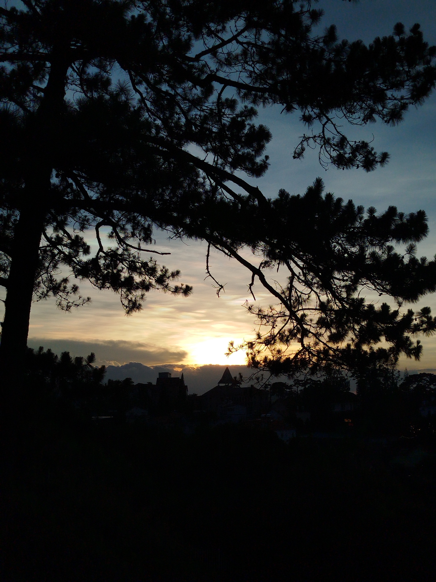 The image depicts a landscape at sunset, likely in Da Lat, Vietnam. In the foreground, a silhouette of a coniferous tree dominates the view. The tree's branches extend across the upper portion of the frame, obscuring the sky.
In the background, silhouetted rooftops of buildings and possibly other trees are visible against the setting sun. The sun is low on the horizon, emitting a bright glow through clouds, creating a gradient in the sky with a range of orange, yellow, and blue colors. The silhouette of what could be a pagoda is barely visible. The overall mood is peaceful, with a focus on the natural landscape. The foreground is dark, with a heavy emphasis on the outlines of the foliage.