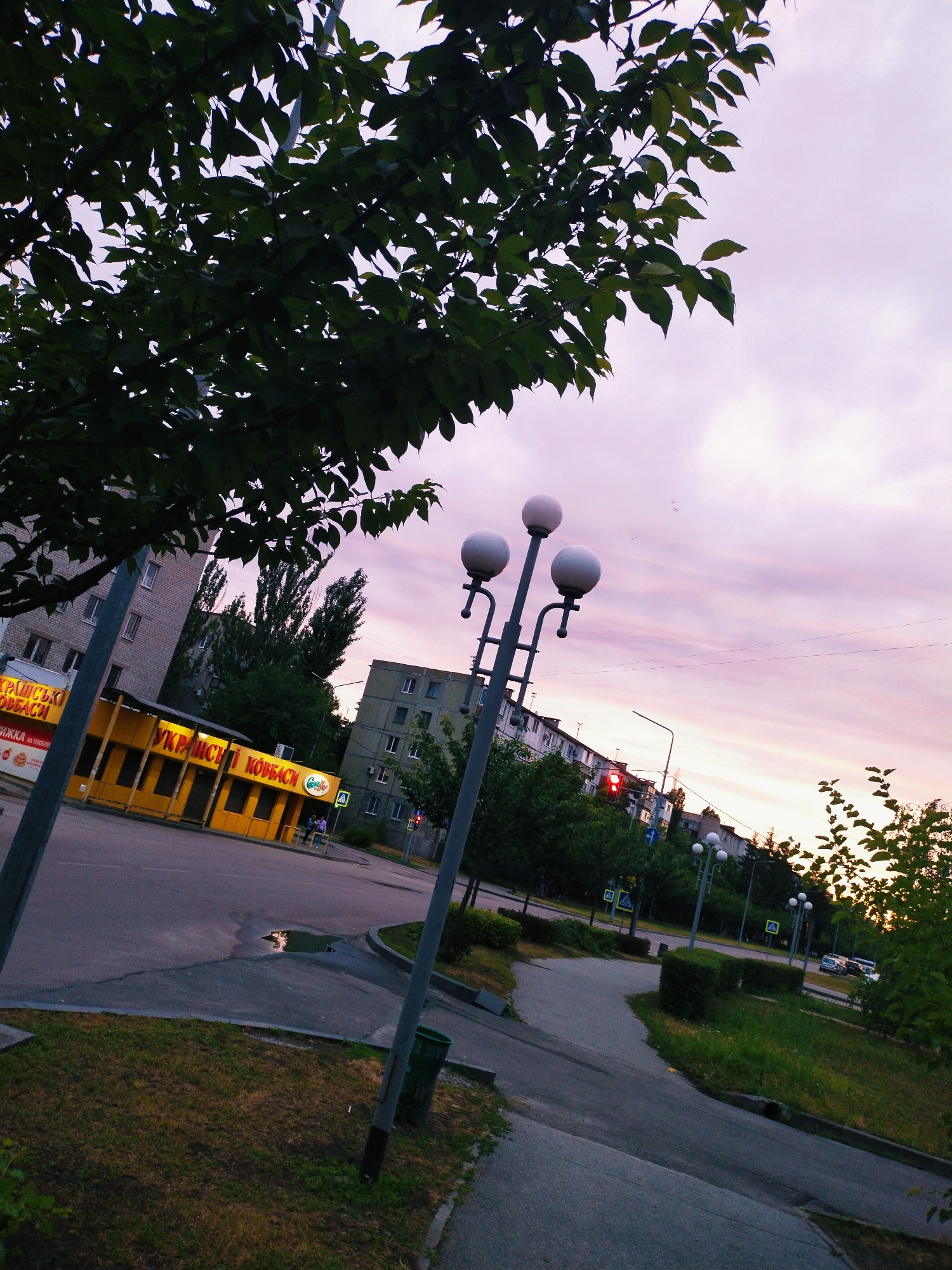 The image depicts a street scene in Horishni Plavni, Ukraine, at dusk. The sky is a soft pink and purple, with scattered clouds. In the foreground, a lamppost with three spherical lights stands to the right, with branches of a leafy tree obscuring the top left of the frame. A paved walkway curves through a grassy area to the right. In the middle ground, a yellow building with dark windows is visible, bearing signs with Cyrillic text, likely a retail establishment. Across the street, apartment buildings and trees form the backdrop. A traffic light shows red, and pedestrian crossing signs are present. A puddle of water reflects the dim light on the asphalt. Several cars are parked in the distance. Two individuals can be seen standing near the yellow building.