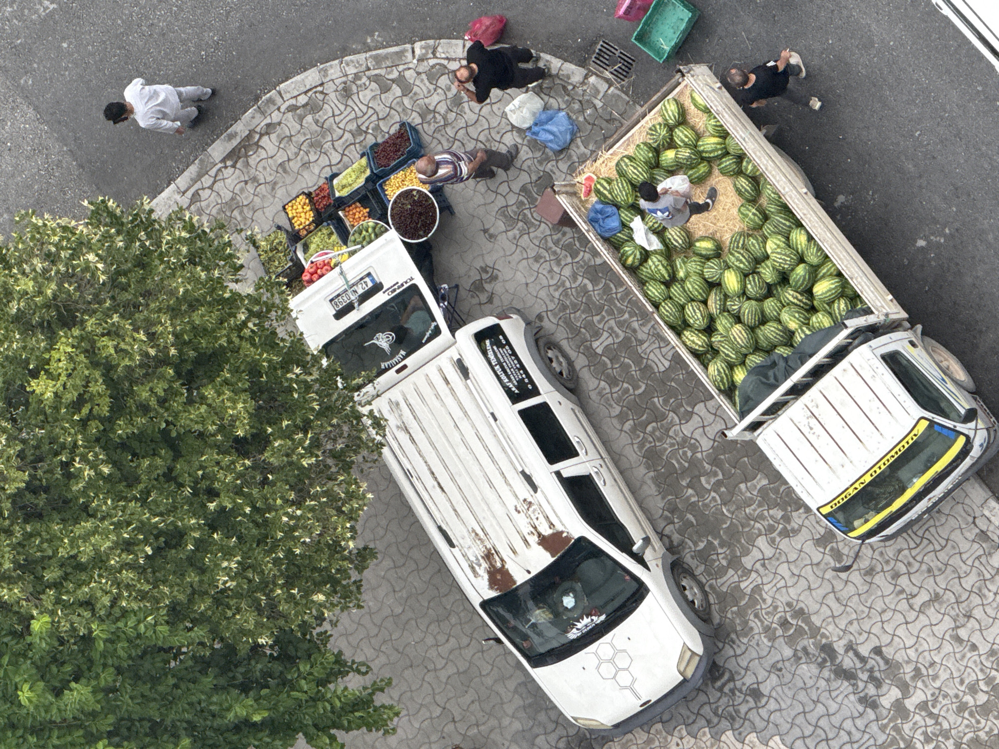 An aerial, eye-level view shows a street scene in Konya, Turkey. A large, leafy green tree dominates the upper left quadrant. Below the tree, on a patterned paved area, is a white van with a white canopy extended from its side, displaying various fruits and vegetables in crates. To the right of the van, a second, larger truck bed is filled with watermelons. Three men are visible: one in a white outfit standing on the street, one in a striped shirt interacting with the van, and one in a black shirt near the watermelon truck. Two blue bags and two pink bags are also present on the ground, along with a green crate. The street is paved and there is a drain grate visible.