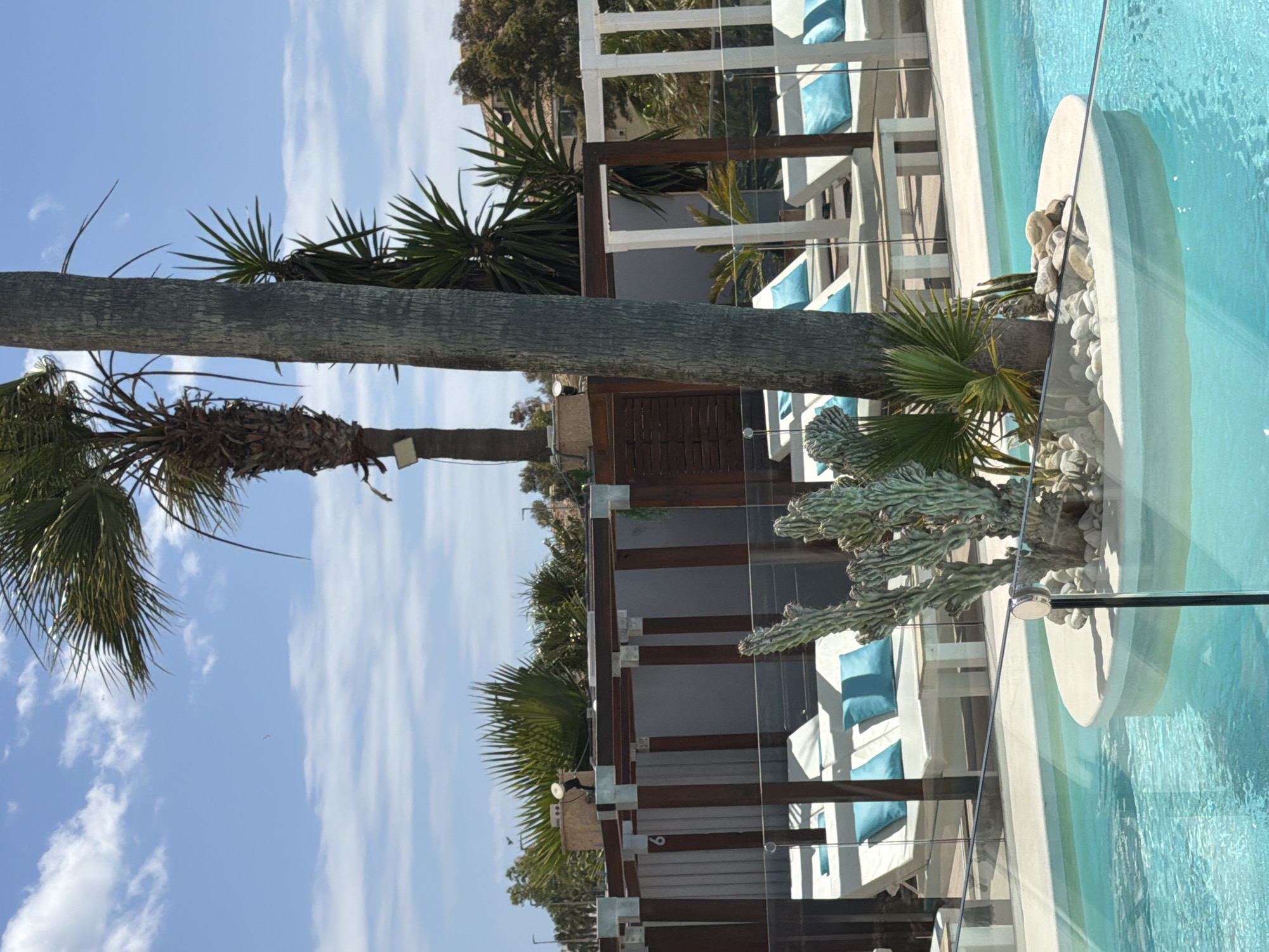 The image shows an outdoor scene, likely a resort or upscale hotel, with elements suggesting a location in Benalmádena, Spain. A palm tree trunk dominates the left side of the frame, partially obscuring the view. Behind the tree are several white structures, possibly cabanas or lounge areas, adorned with brown wooden beams and blue pillows. Clear glass panels act as barriers or dividers. A swimming pool with turquoise water is visible on the right, featuring a white, semi-circular structure decorated with rocks. Cacti are situated near the pool. The sky is blue with streaks of clouds. No people are visible. The environment suggests a sunny, warm climate.