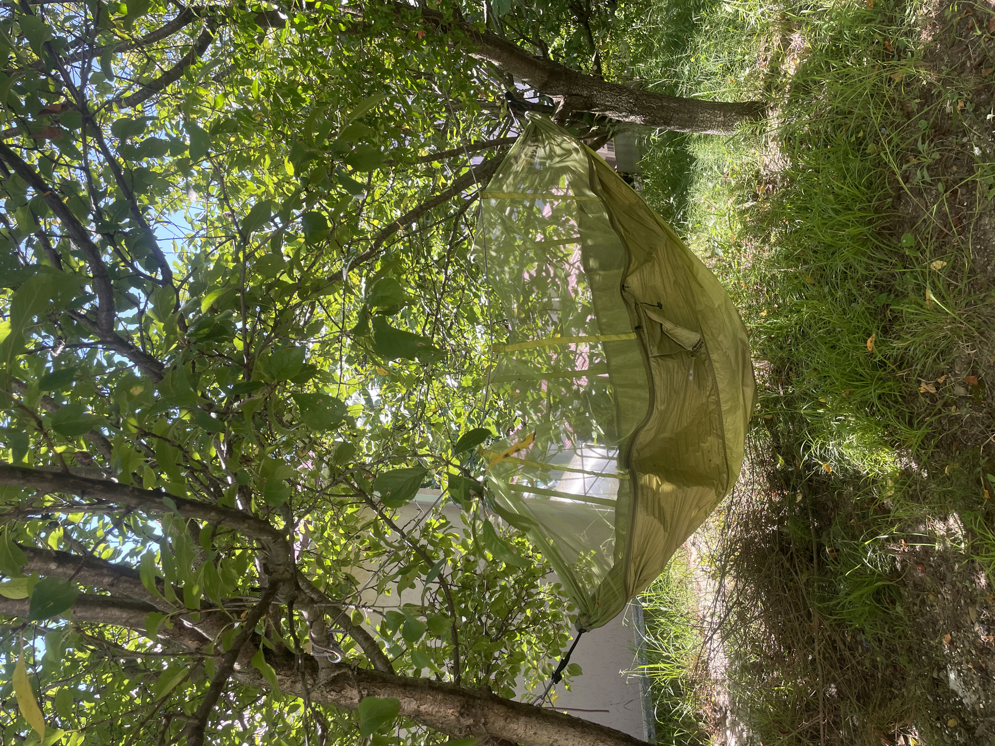 A hammock with a mosquito net is suspended between two trees in a backyard. The hammock is green and appears to be made of nylon. The mosquito net is also green and is attached to the hammock. The hammock is located in an area with trees, grass, and some dead branches on the ground. The image is taken from a low angle, looking up at the hammock. There are no people visible in the image. The overall scene suggests a peaceful and relaxing outdoor setting. The location is described as Baranovka, Russia.