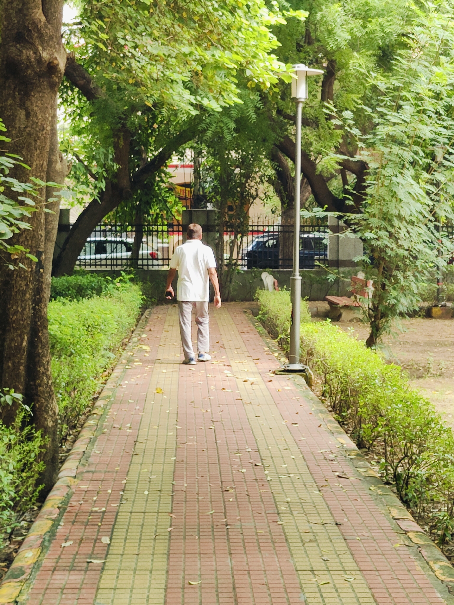 A lone man walks away from the camera on a red and yellow tiled pathway in a park in Gurgaon, India. He is wearing a white short-sleeved shirt and light-colored trousers, with blue shoes. A dark smartphone is in his right hand. The pathway is bordered by lush green bushes on the left and right. Mature trees with dense foliage arch over the path, creating dappled shade. In the background, a black metal fence encloses a street or another area, with vehicles visible beyond it. A modern, white lamppost stands to the right of the pathway, near the center of the frame. The ground beyond the bushes on the right is covered in dry leaves and dirt, suggesting an outdoor park setting. Fallen leaves are scattered across the tiled pathway.