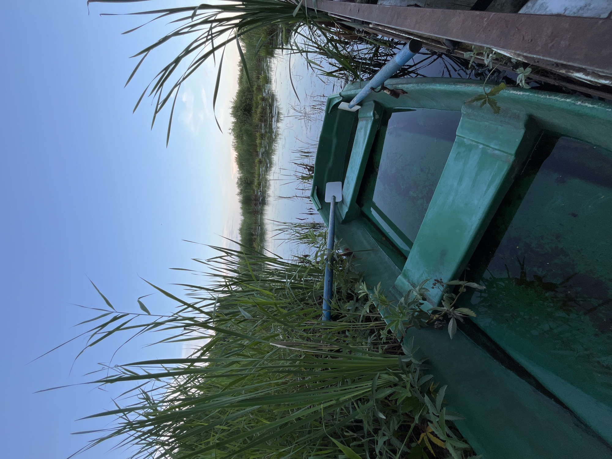 A green boat is moored to a wooden dock on a tranquil body of water, surrounded by tall green reeds. The sky above is a clear blue with a few wispy clouds. The boat contains some water and a pair of oars. The scene suggests a peaceful, natural setting.