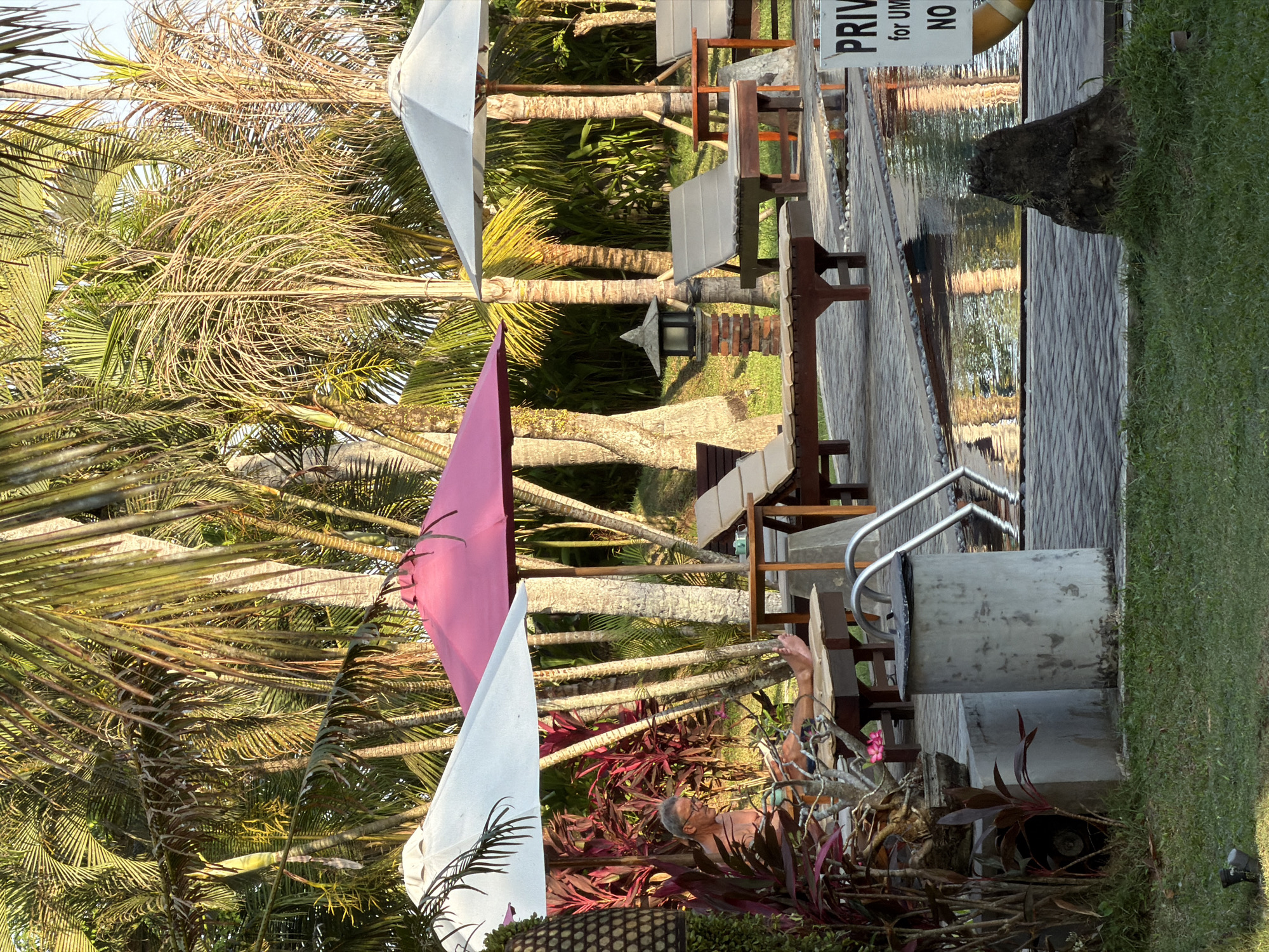 A man is sitting on a sun lounger under a white umbrella, reading a book. He is wearing glasses and appears to be shirtless. In front of him, a pink umbrella shades a different area of the patio. The scene is set in a tropical environment with lush palm trees surrounding a swimming pool. Several other sun loungers are visible, some empty and some occupied by their cushions. A small side table with two cups sits next to one of the loungers. A sign with "PRIV" partially visible is present near the edge of the pool, suggesting a private area. The ground around the pool is paved with grey tiles. The lighting suggests it is late afternoon or early morning, with warm sunlight filtering through the palm fronds. This setting is consistent with a resort or private villa in Pekutatan, Indonesia, a coastal village known for its tranquil atmosphere and natural beauty.