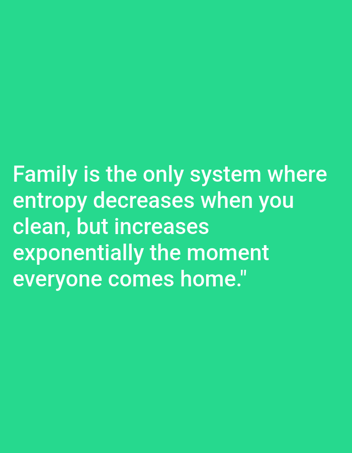 This media file is a digital image with a bright green background. White text is overlaid on the image, presenting a humorous observation about family life and entropy. The text reads: "Family is the only system where entropy decreases when you clean, but increases exponentially the moment everyone comes home." There are no people, objects, or scenes depicted in the image; it is purely text-based. The setting is a plain, solid color. There is no indication of time of day, weather, or specific location cues beyond the text itself. The tone of the text is lighthearted and relatable, playing on a common domestic experience.