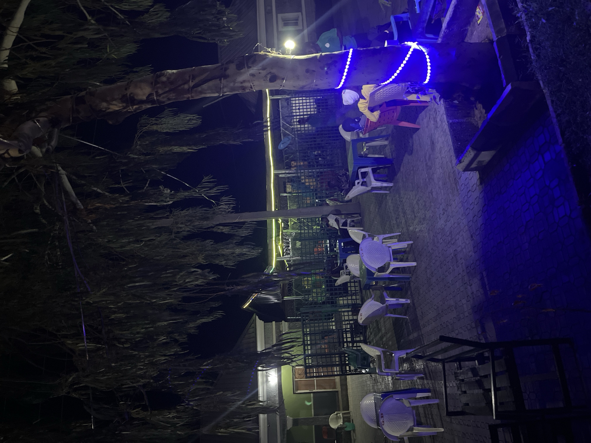 This nighttime image depicts an outdoor gathering area in Jalingo, Nigeria. The scene is illuminated by various artificial lights, including blue LED string lights wrapped around the trunk of a large tree on the right. The ground is paved with interlocking tiles. Several white plastic chairs, some marked "G.B.", and blue plastic tables are arranged across the paved area, with some red plastic chairs also present.
In the mid-ground, a dark green metal mesh fence separates the foreground from background structures, which appear to be buildings with green walls and a grey roof. Yellow and orange string lights are visible in the far background. A dark wooden bench is present in the lower left foreground.
Multiple individuals are present. On the right, a person in a green polo shirt stands near the blue-lit tree, facing away from the camera, seemingly interacting with someone seated. Another person in a yellow top and white head covering is seated at a table with a red chair to the right of the tree. Other individuals are seated at tables across the paved area, engaging in social interaction. The overall environment suggests an outdoor restaurant, cafe, or communal lounge space.
