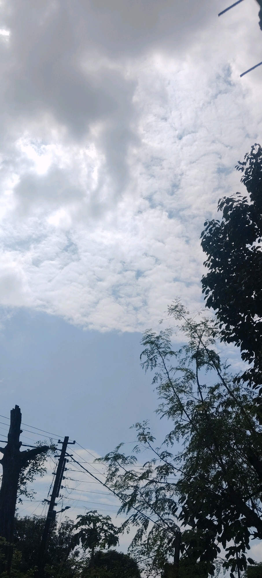 The image captures a sky view with scattered clouds and a light blue sky. In the foreground, silhouetted against the sky, are trees and utility poles with wires. A broken utility pole is visible on the left, with electrical lines connecting to another pole. The trees are lush and leafy, with branches extending into the frame. The scene suggests an outdoor environment, likely in an area with both natural vegetation and man-made infrastructure. The time of day appears to be daytime, given the lighting conditions. There are no people or animals visible in the image. The overall impression is one of a somewhat overcast sky with a clear view of the surrounding natural and built elements.