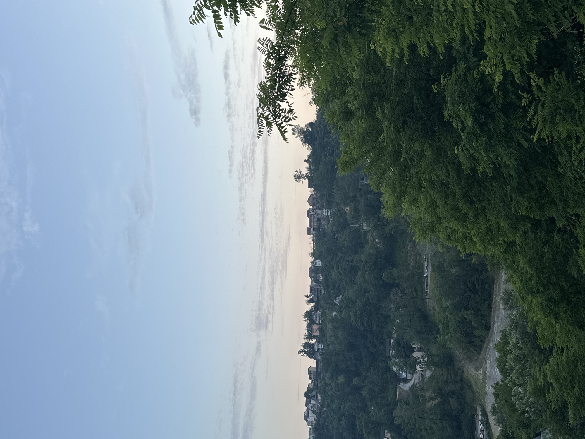 An elevated, slightly downward-angle, full-shot photograph depicts a hazy, overcast daytime scene in the city of Razdolnoye, Russia. In the foreground, lush green foliage dominates the right and bottom portions of the frame, partially obscuring the view. Beyond the trees, a hillside dotted with numerous houses and structures stretches across the middle ground. The houses, varying in color and architectural style, are nestled among dense green trees. A winding road is visible in the lower-left quadrant, with a few parked cars. Further back, in the upper portion of the image, a pale blue sky with wispy, light-colored clouds stretches to the horizon. The overall atmosphere is serene, with no discernible human activity or immediate actions taking place. The environment appears to be a residential area situated on a verdant, hilly landscape.
