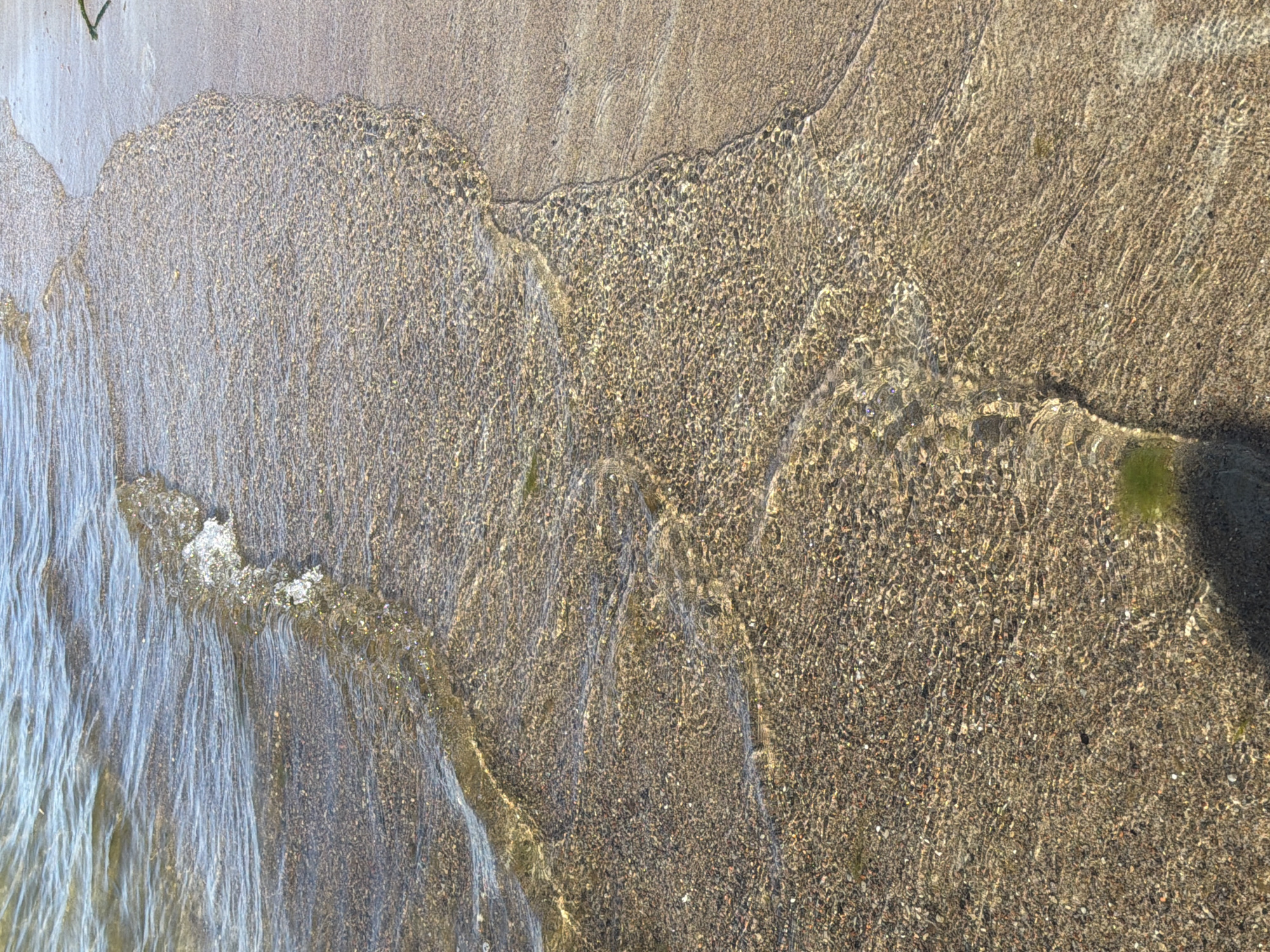 The image shows a shallow body of water gently lapping against a sandy and pebbly shore. The water is clear, with sunlight refracting through it, creating shimmering patterns on the seabed. Small waves are breaking and receding along the waterline. The shore is composed of fine sand mixed with small pebbles and shells. There is a patch of green seaweed visible on the shore in the lower right quadrant, and a shadow of a person is visible in the bottom right corner. The scene is one of a natural coastline, likely a beach or a lakeside. There is no specific indication within the image that places it in Tallinn, Estonia; it is a generic coastal scene.