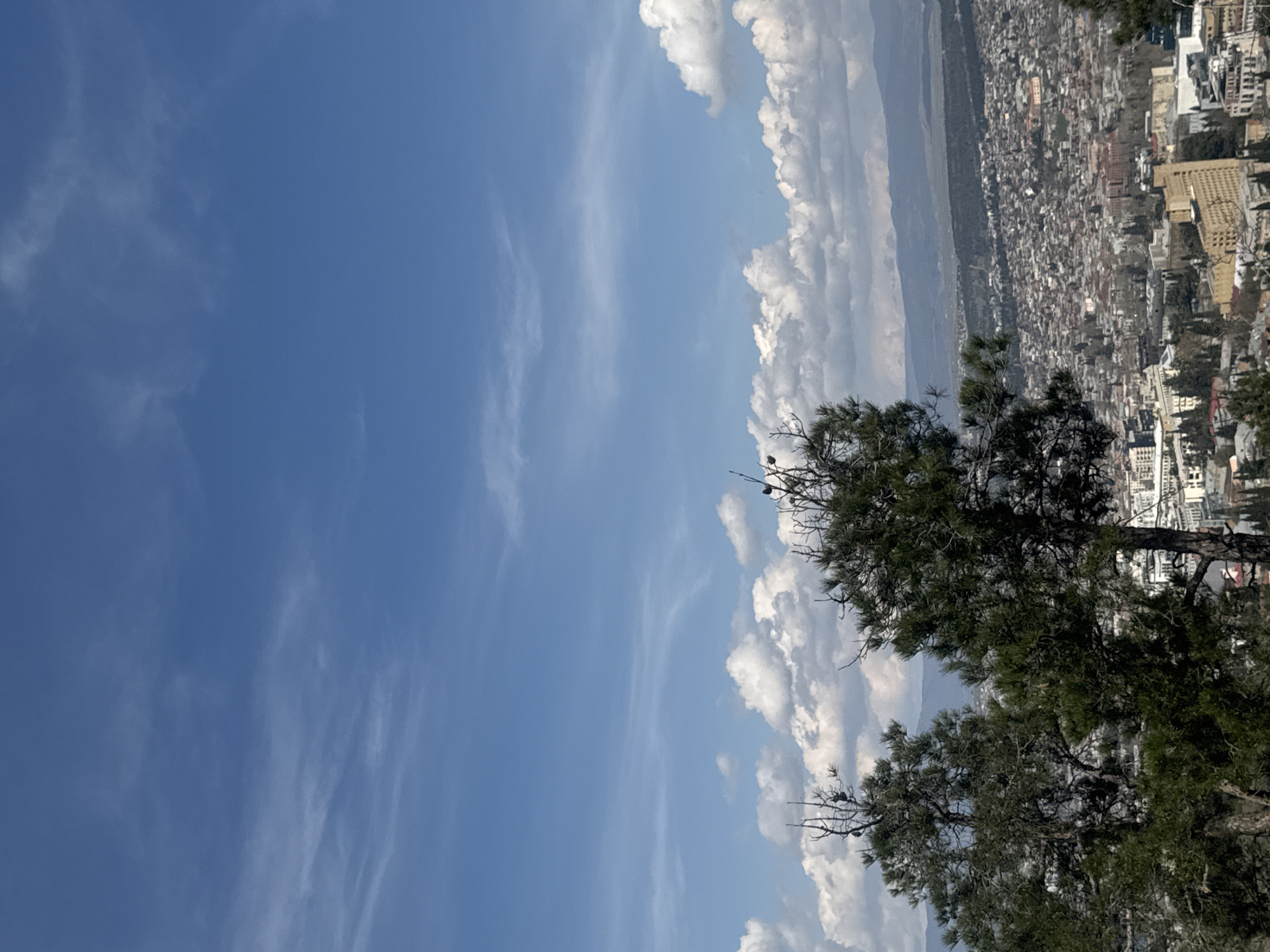The image is a landscape oriented view looking toward the city of Tbilisi, Georgia. The sky is mostly clear and blue with white clouds near the upper right of the frame. In the lower right, a densely foliaged tree rises in the foreground. Behind the tree, the cityscape extends horizontally, composed of dense low-rise buildings and some taller structures. In the background, there are hints of mountains and valleys.