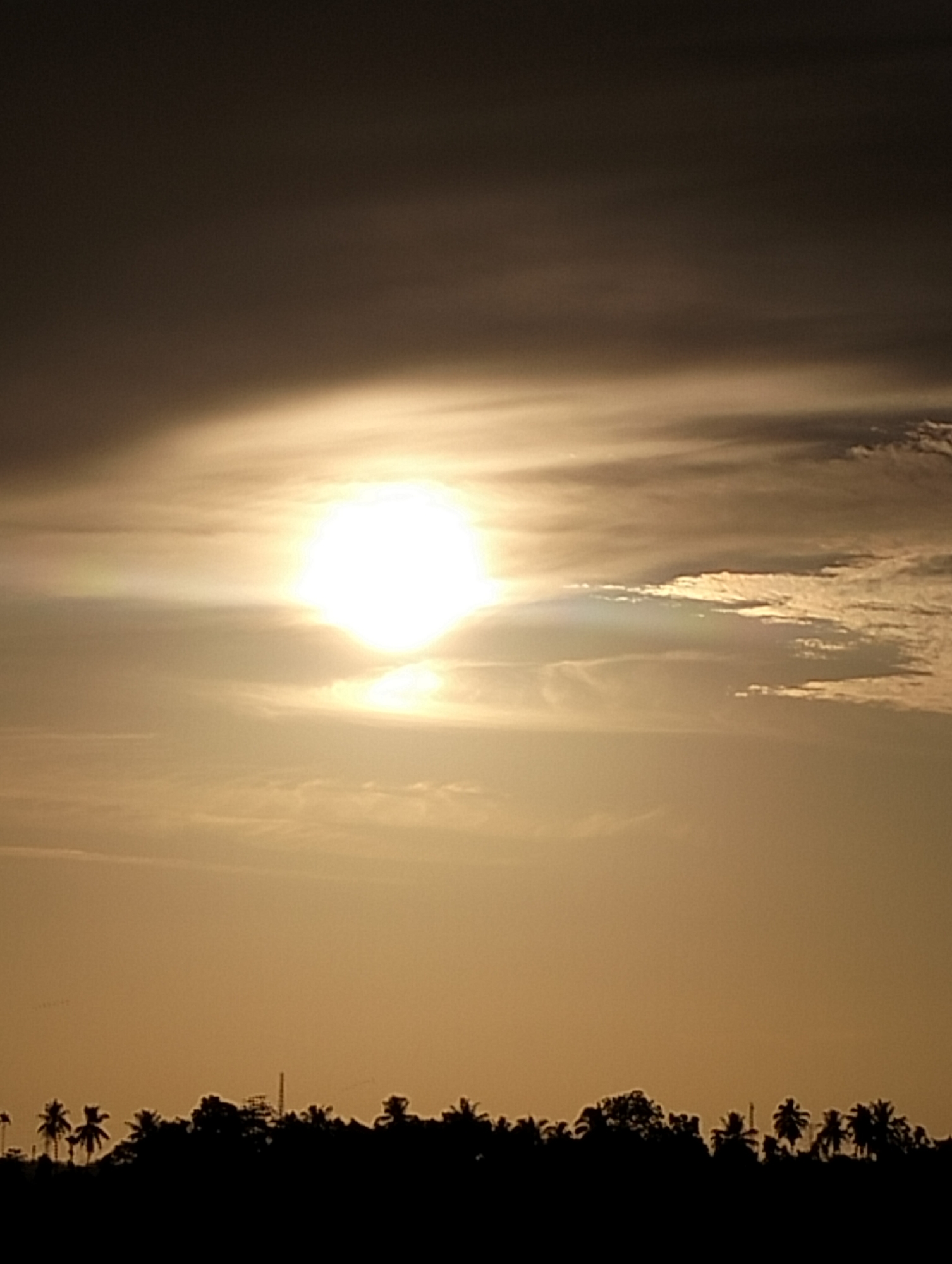 A silhouetted line of trees, including palm trees, sits against a gradient sky with the sun shining brightly through the clouds. The scene appears to be captured at either sunrise or sunset, casting a warm golden hue over the environment. A tall structure is barely visible amidst the trees, which may or may not be located in the city of Kulam, Indonesia. No people are visible in this image.