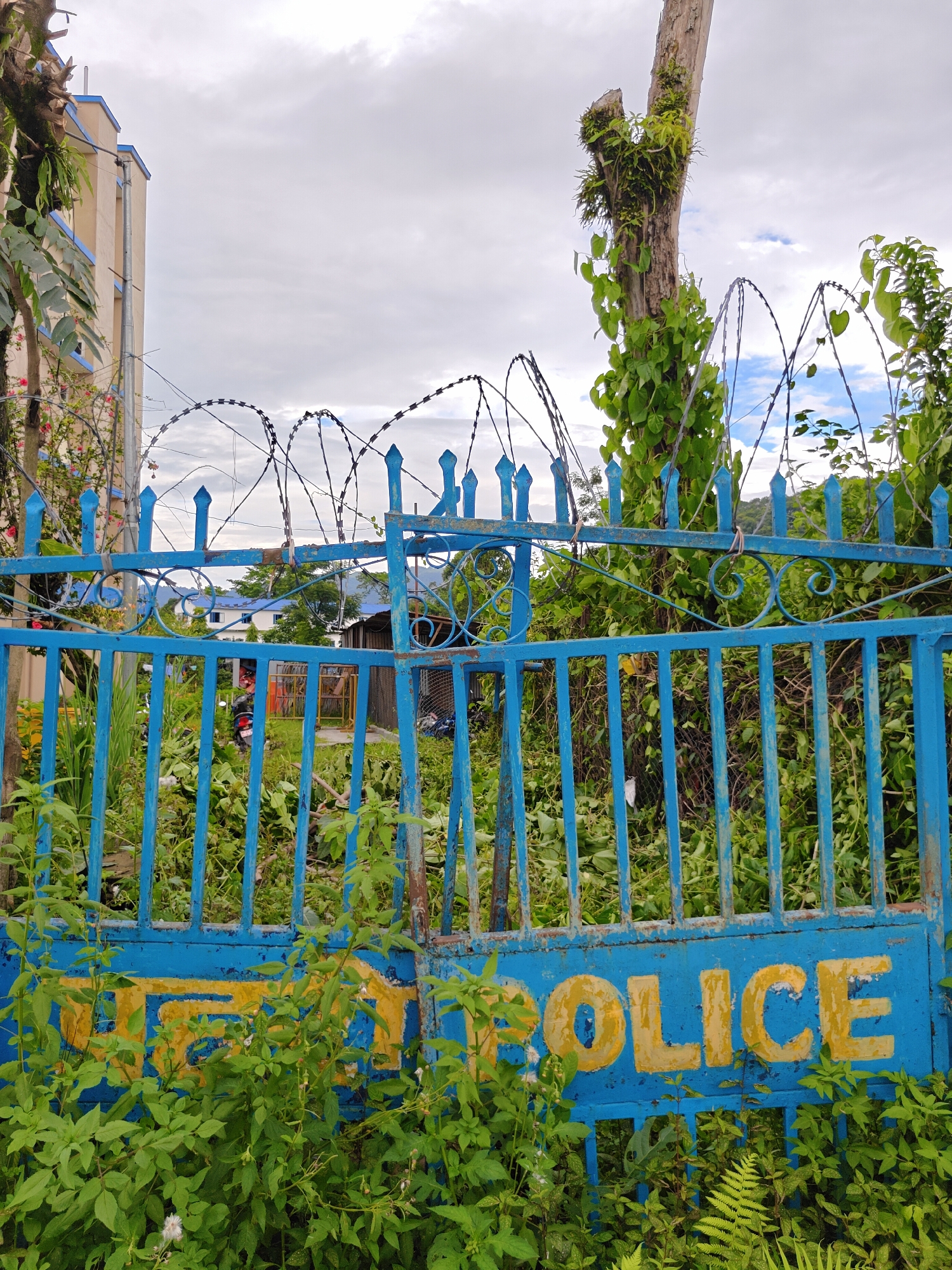 A bright blue metal gate with spiked tops and decorative scrollwork is covered in overgrowth of green foliage. Barbed wire is strung along the top of the gate and also on a dead tree trunk to the right. The gate is painted with yellow lettering that reads "POLICE" in English on the right side. To the left of the gate, a tall, light-colored building with blue trim is visible. In the background, behind the gate, there are more buildings and trees, suggesting an urban or semi-urban environment. The sky is overcast with scattered clouds. This image appears to be taken in Pokhara, Nepal.