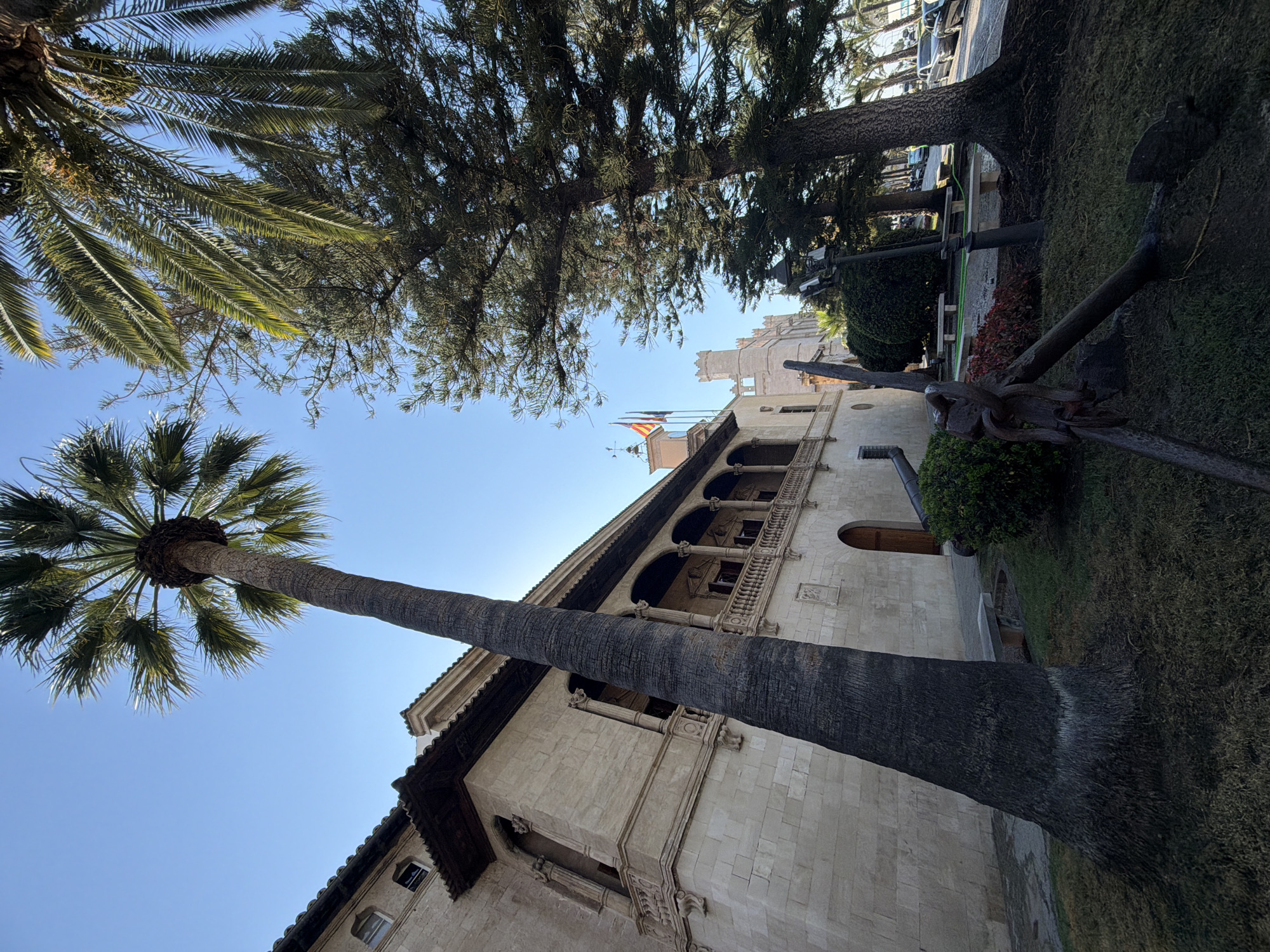The image shows the Almudaina Palace, a royal palace in Palma de Mallorca, Spain. The palace is a historical building with a stone facade and a long balcony supported by arches. In front of the palace, there is a large palm tree and several other trees, including a tall pine tree. In the foreground, there is a large, rusty anchor displayed as an artifact. A street with cars and palm trees is visible in the background. The sky is clear and blue.
