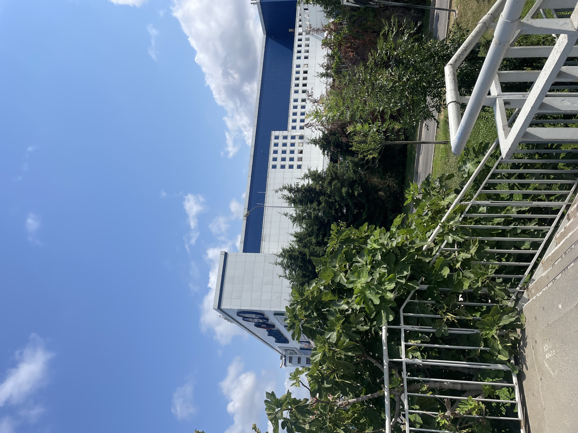 The image shows the exterior of a large, modern building, likely a shopping mall, in Kadıköy, Turkey. The building features a white facade with blue accents and a grid of square windows. Lush green trees and bushes partially obscure the lower portion of the building. In the foreground, a set of white metal stairs and railings leads up towards the building, with a dense fig tree to the left. The sky above is a clear blue with scattered white clouds. The overall scene is of an urban environment with a focus on a commercial building and its natural surroundings.
