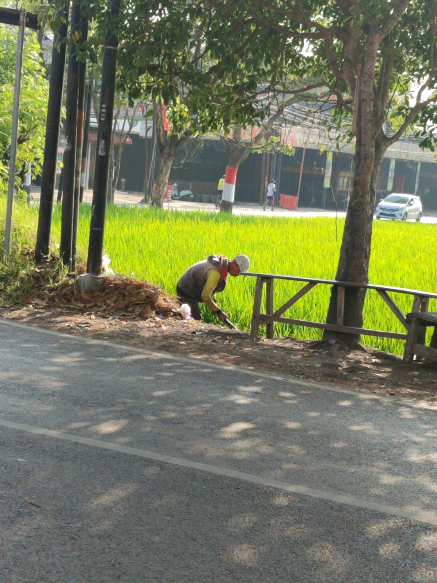 A person is working in a field of bright green rice paddies next to a road in Garut, Indonesia. The person, wearing a yellow shirt and brown vest, is bent over, possibly tending to the crops with a tool. A pile of dried leaves and debris is at the base of a cluster of utility poles. A wooden fence runs along the edge of the field. In the background, buildings and trees line the street, and a white car is visible. The sun casts dappled shadows on the road, suggesting it is daytime.
