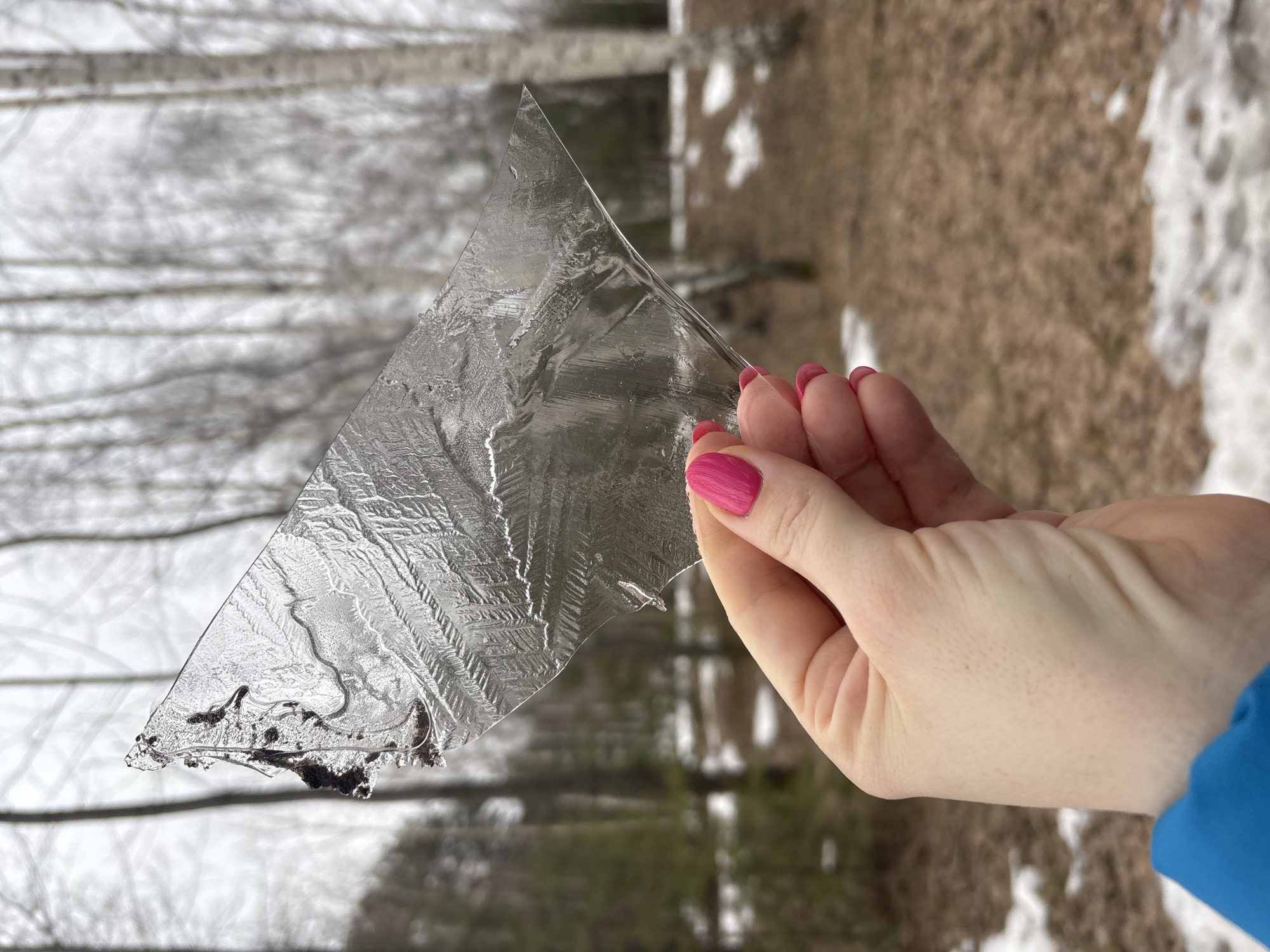 A hand with pink nail polish is holding a triangular piece of ice with intricate crystalline patterns. The background is blurred but appears to be an outdoor scene with trees and ground cover with snow. The location is unspecified, and there are no recognizable landmarks to connect this image to the city of Chaikovsky, Russia.