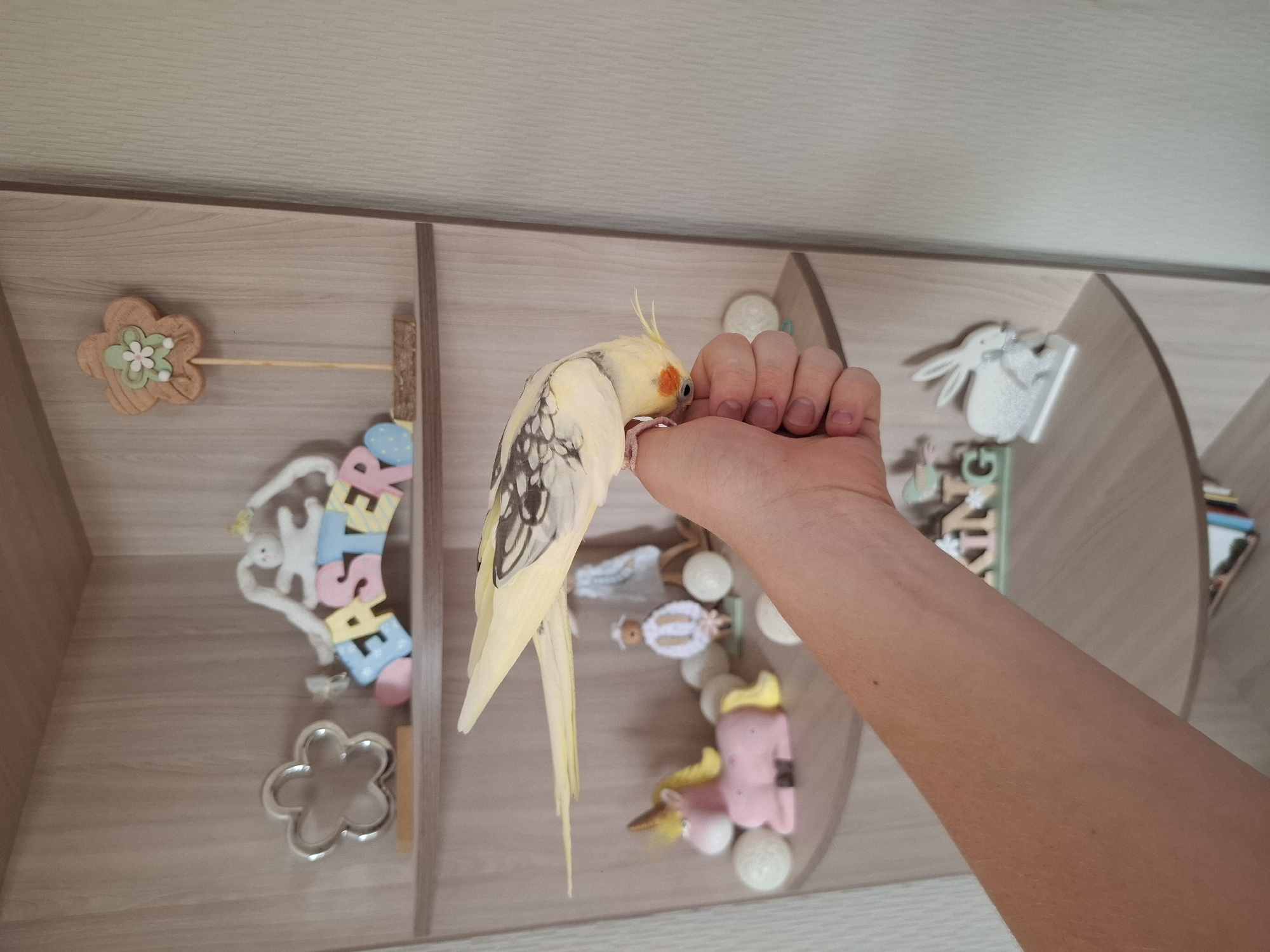 Memory