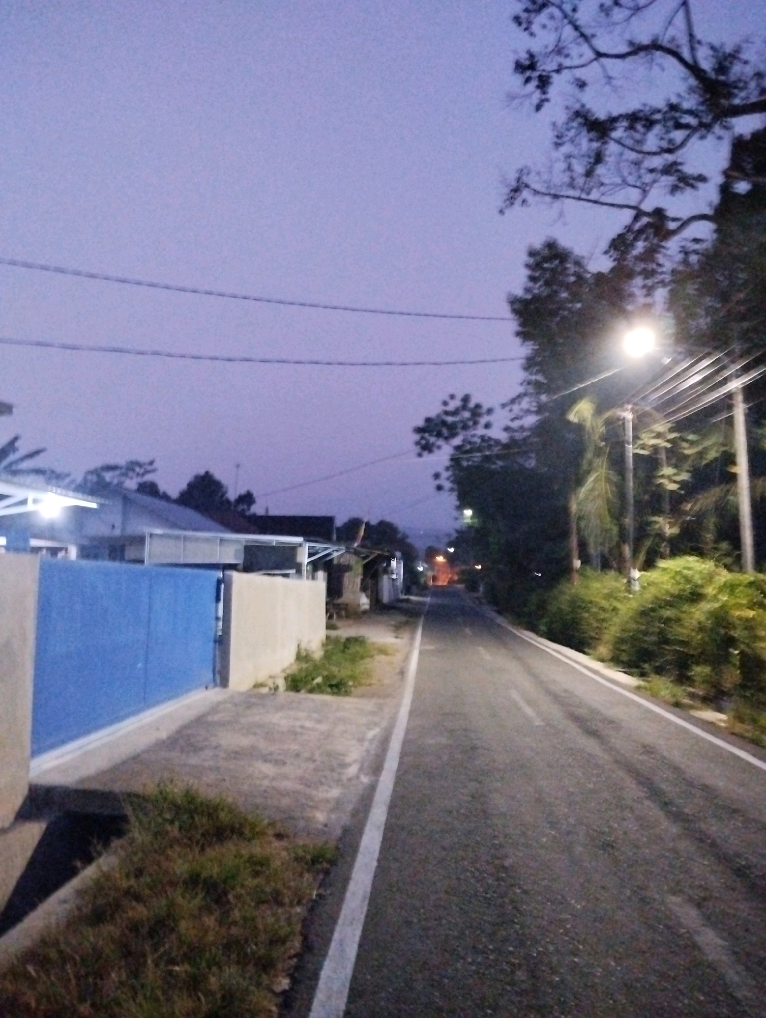 The image depicts a twilight scene on a paved road in Salatiga, Indonesia. On the left side of the road, a blue gate is visible in front of a building with a white awning. Adjacent to the gate, a light-colored wall extends along the sidewalk, which is bordered by grass. The road itself has white lane markings. To the right of the road, lush green vegetation lines the path, and a streetlamp illuminates the scene, casting light on the trees and foliage. In the distance, the road curves, with more vegetation and buildings visible. The sky is a gradient of pale purple and pink, indicating the late evening or early morning hours. There are no people or animals visible in the frame.