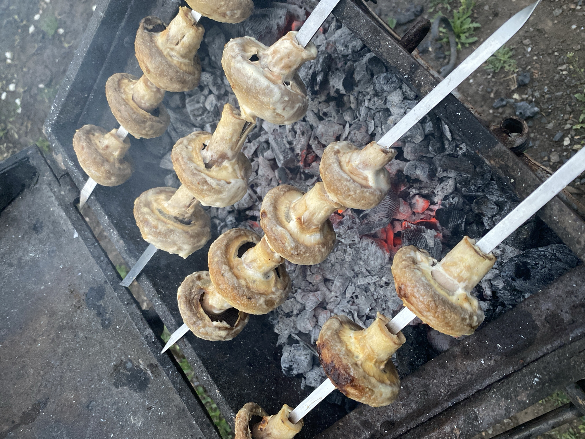 The image depicts mushrooms on skewers being grilled over charcoal in an outdoor setting. The skewers, laden with mushrooms, are resting on a metal grill above the burning charcoal. Smoke rises from the grill, indicating the cooking process. The ground around the grill shows signs of outdoor use.