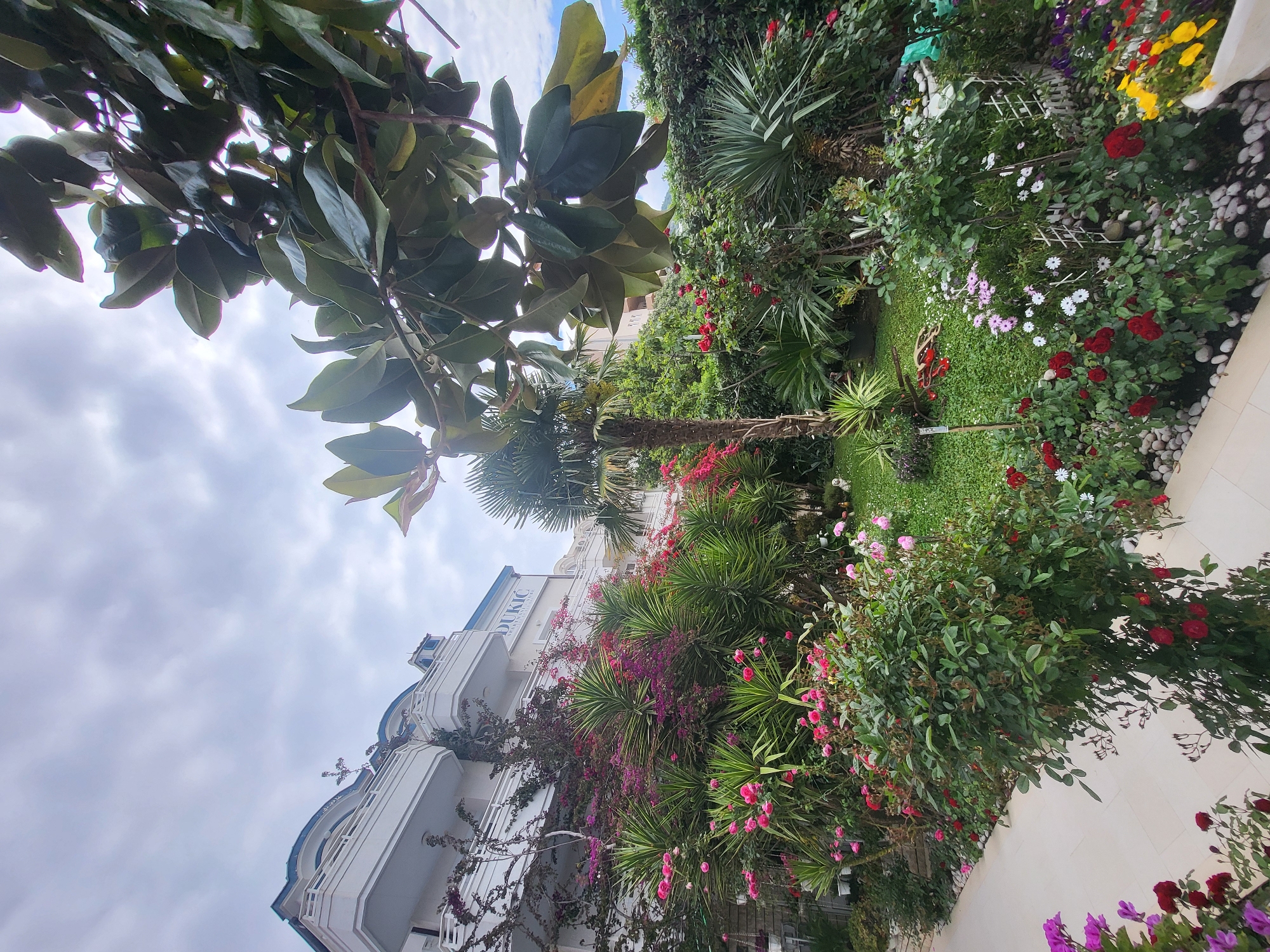 The image shows a view of a building with the name "DUKIC APARTMENTS" on it, indicating it is likely located in Budva, Montenegro, given the presence of the name on the building. The building is white with multiple balconies. Abundant foliage, including trees and flowering plants, surrounds the building. The landscaping features a variety of plants with red, pink, and purple flowers. The sky is visible through the foliage with clouds.
