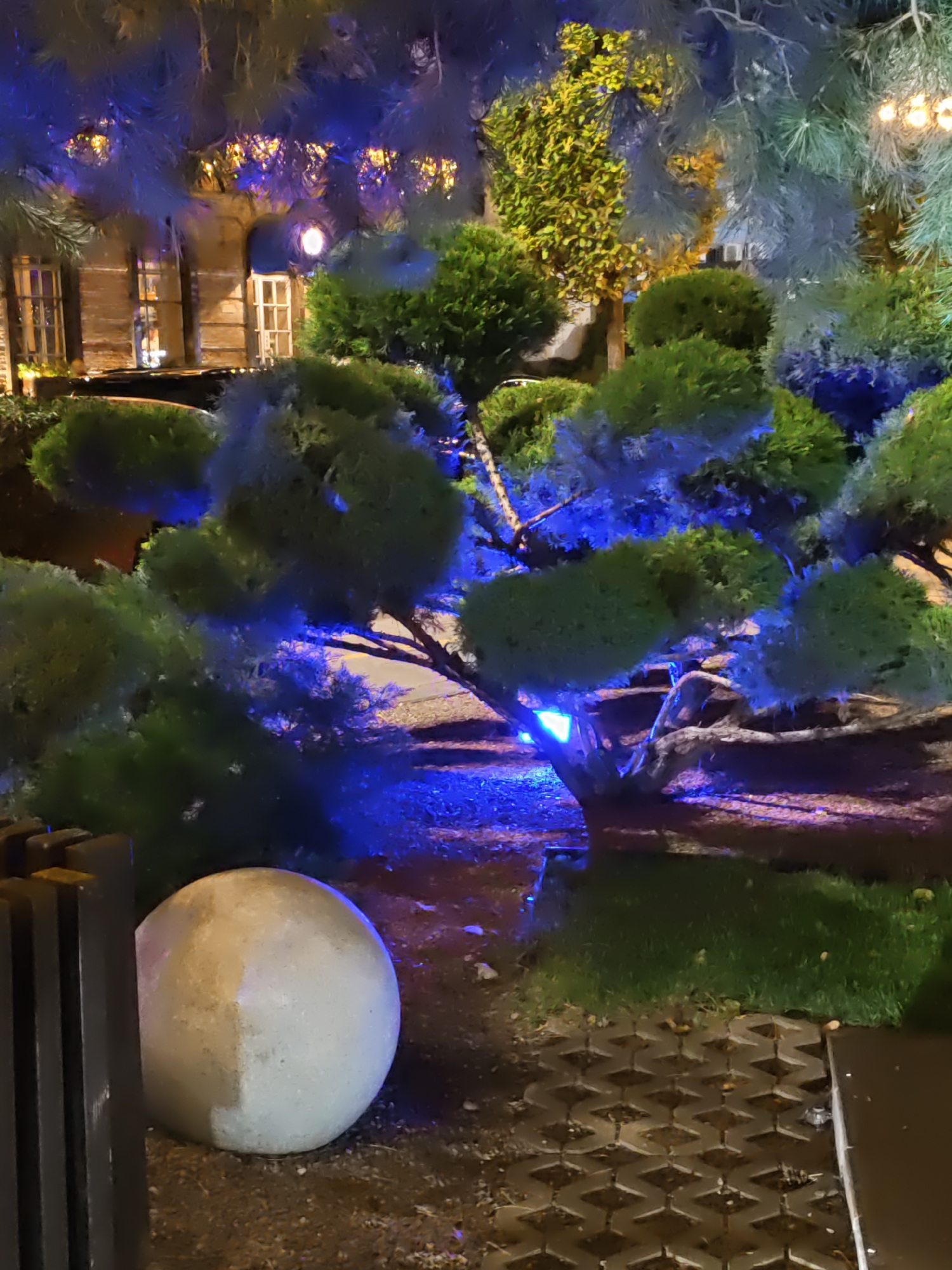 The image depicts an outdoor scene at night, likely in a garden or park area. A prominent feature is a sculpted evergreen tree, possibly a juniper or cypress, with a rounded, bushy form. The tree is illuminated with vibrant blue light, casting a strong glow on its foliage and the surrounding ground. In the background, a building with arched windows and brickwork is visible, suggesting an urban or semi-urban setting. The building's windows are lit from within, and some appear to have white panes. Adjacent to the tree, a large, spherical, light-colored stone object rests on the ground. The ground surface includes patches of grass and a textured, interlocking pavement. The overall lighting suggests artificial illumination, possibly for decorative or atmospheric purposes. The scene is devoid of people. The specific location is the Alley of Heroes in Rostov-on-Don, Russia.
