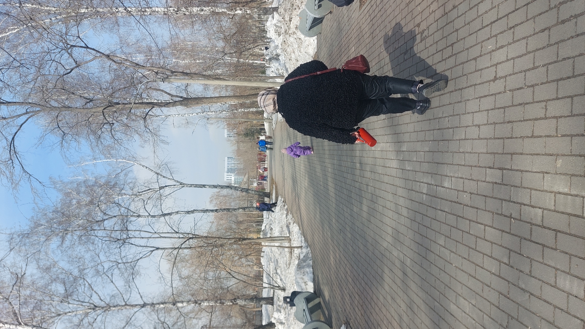 In Novosibirsk, Russia, an elderly woman with a black curly coat, dark pants, and black shoes walks on a paved path. She has a burgundy purse over her shoulder and holds a red water bottle in her hand. A young child wearing purple walks in front of her. Other people stroll in the distance on the path. Bare trees line the sides of the path. Patches of snow are visible on the ground beside the path. Buildings appear in the background. The sky is partly cloudy with a blue hue. Benches are scattered around the scene.