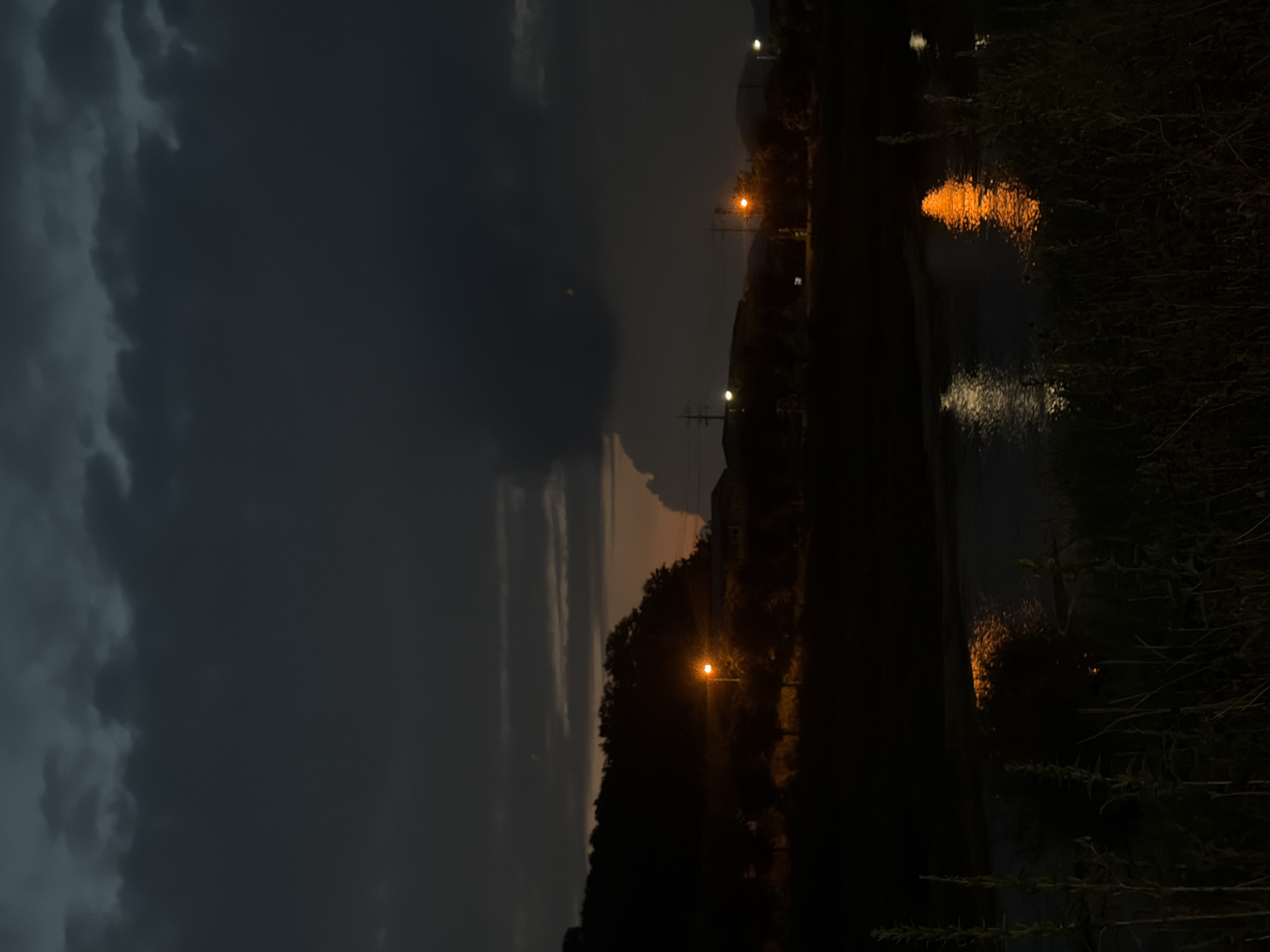 This is a vertical, medium-shot, outdoor photograph taken at dusk or night, depicting a rural landscape near Dongducheon-si, South Korea. The sky is predominantly dark with heavy, textured clouds. A distant tree line forms a dark silhouette against a faintly illuminated horizon, suggesting a sunset or twilight glow. Several streetlights are visible, casting orange and white light. One prominent orange streetlight is situated amongst the trees on the left side of the frame, while others are scattered further in the distance. A body of water, possibly a river or pond, occupies the lower half of the image, reflecting the artificial lights with shimmering, broken patterns of orange and white. The foreground is dominated by dark, out-of-focus vegetation, primarily tall grasses and reeds, adding depth and texture to the scene. There are no people or animals visible in the image. The overall mood is quiet and serene, characteristic of a rural area at the end of the day.