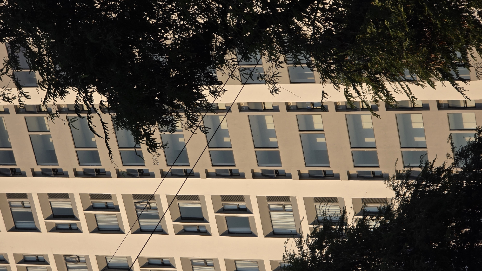The image depicts the exterior of a multi-story building with a repetitive window pattern, framed by dark foliage in the foreground. The building's facade is light in color, possibly concrete or stucco, and features rows of rectangular windows. Some windows are partially open, revealing blinds or curtains. A few utility lines run diagonally across the building's facade. The dark foliage obscures parts of the building and suggests a natural environment in close proximity to the urban structure. The angle of the photograph indicates a ground-level perspective looking upwards. While the image suggests a cityscape, the specific location in Nha Trang, Vietnam cannot be determined solely from the visual information provided.