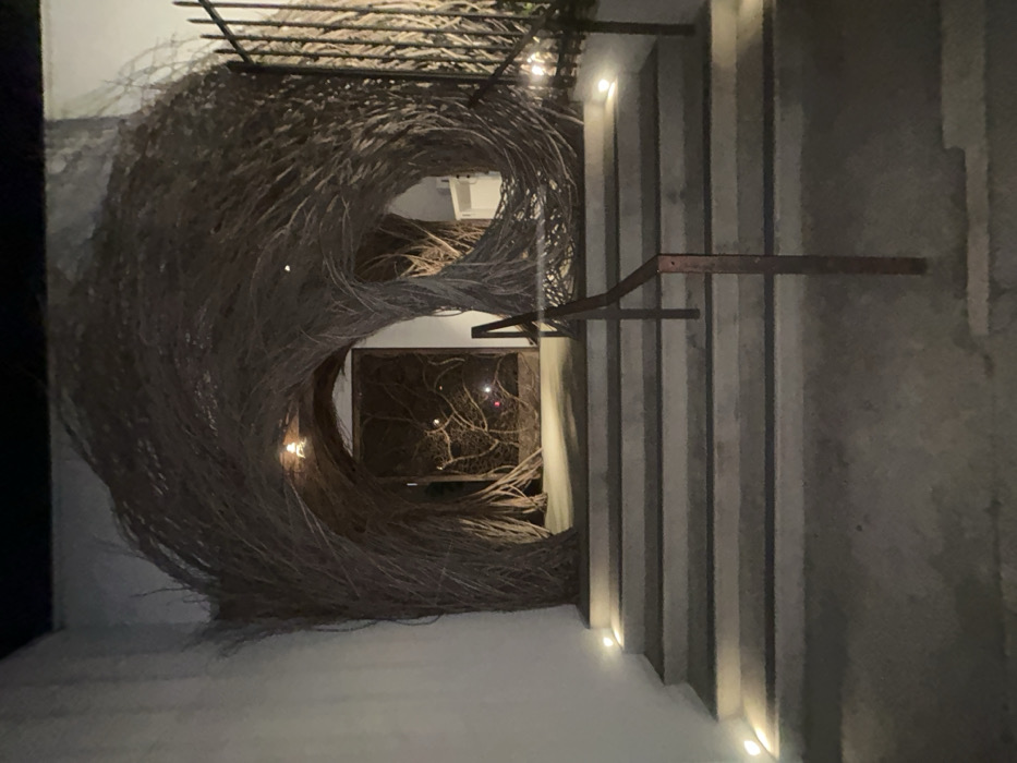 A low-angle shot showcases a unique architectural design featuring a nest-like structure crafted from interwoven branches or reeds. Adjacent to it is a textured wall with vertical concrete ribs illuminated by recessed lights at the base. Through the nest's openings, a framed artwork depicting a similar branching pattern is visible. The composition creates a sense of depth and contrasts the natural and artificial elements.
