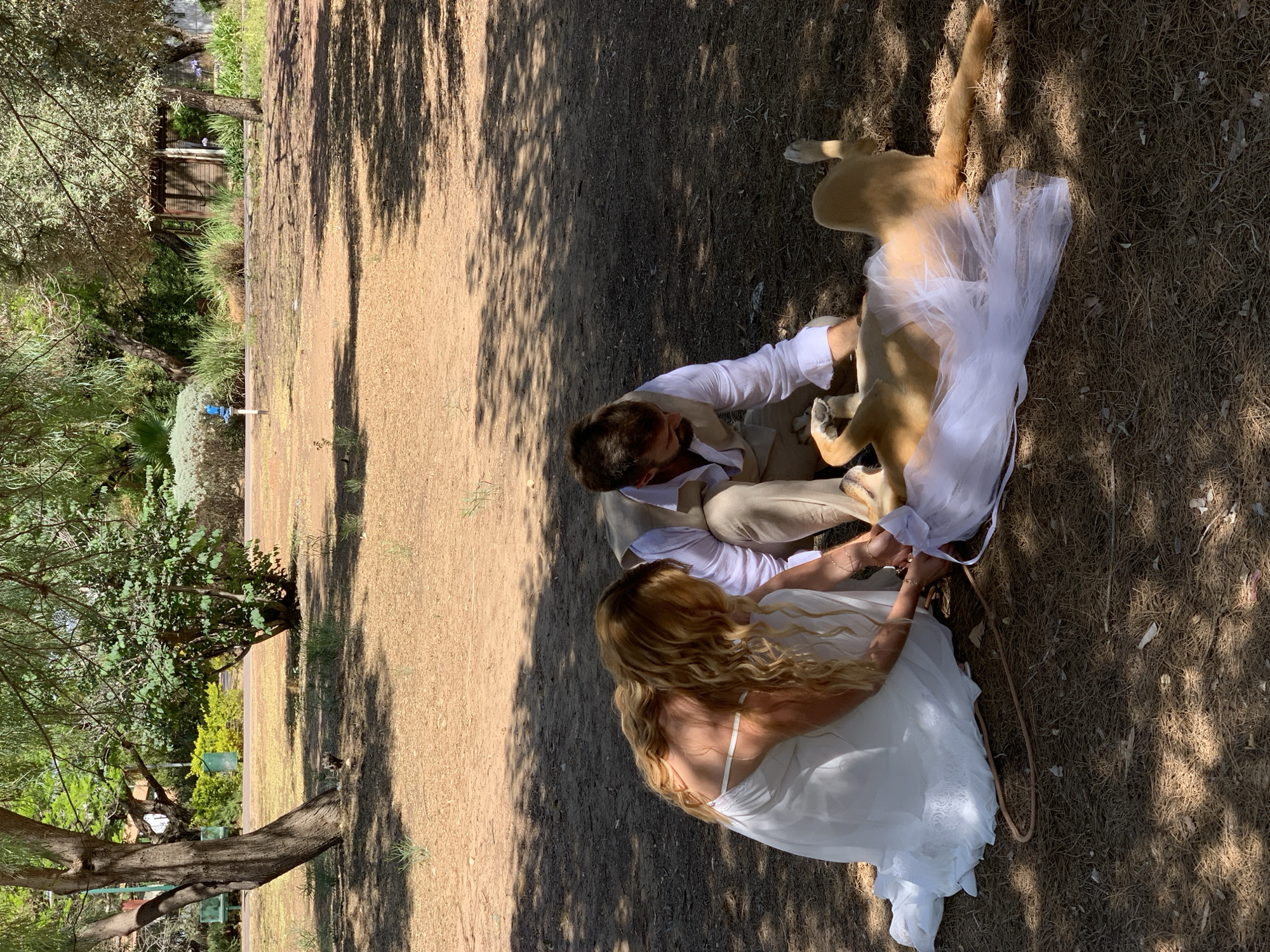 A photograph taken from an overhead perspective shows a woman and a man on the ground with a dog in a park setting. The woman is wearing a white dress, while the man is wearing a white shirt and beige pants. The dog is light brown and is wearing a white tulle garment. All three subjects are sitting or lying on a dirt and pine needle covered ground. The setting is a park with trees, shrubs, and grass visible in the background. Tree shadows fall across the foreground. The location is Nofekh, Israel.