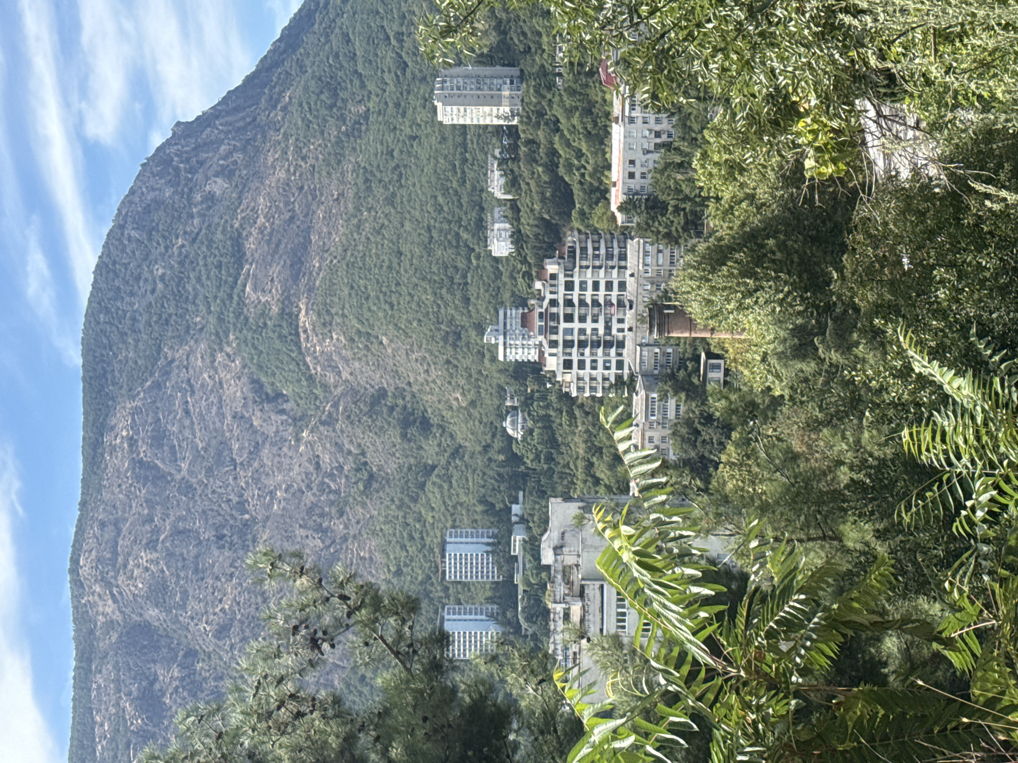 This image captures a view of the city of Partenit, Ukraine, nestled against a steep, rocky mountainside covered in sparse vegetation on its upper slopes and dense green trees on its lower slopes. In the mid-ground, several multi-story buildings are visible, including a distinctive, curved white building with numerous balconies, and several taller, rectangular apartment buildings. A tall brick chimney stands among the trees in the lower mid-ground. The foreground is filled with lush green foliage, including leafy branches and pine needles, partially obscuring the view of the city. The sky above is a clear blue with a few wispy white clouds.