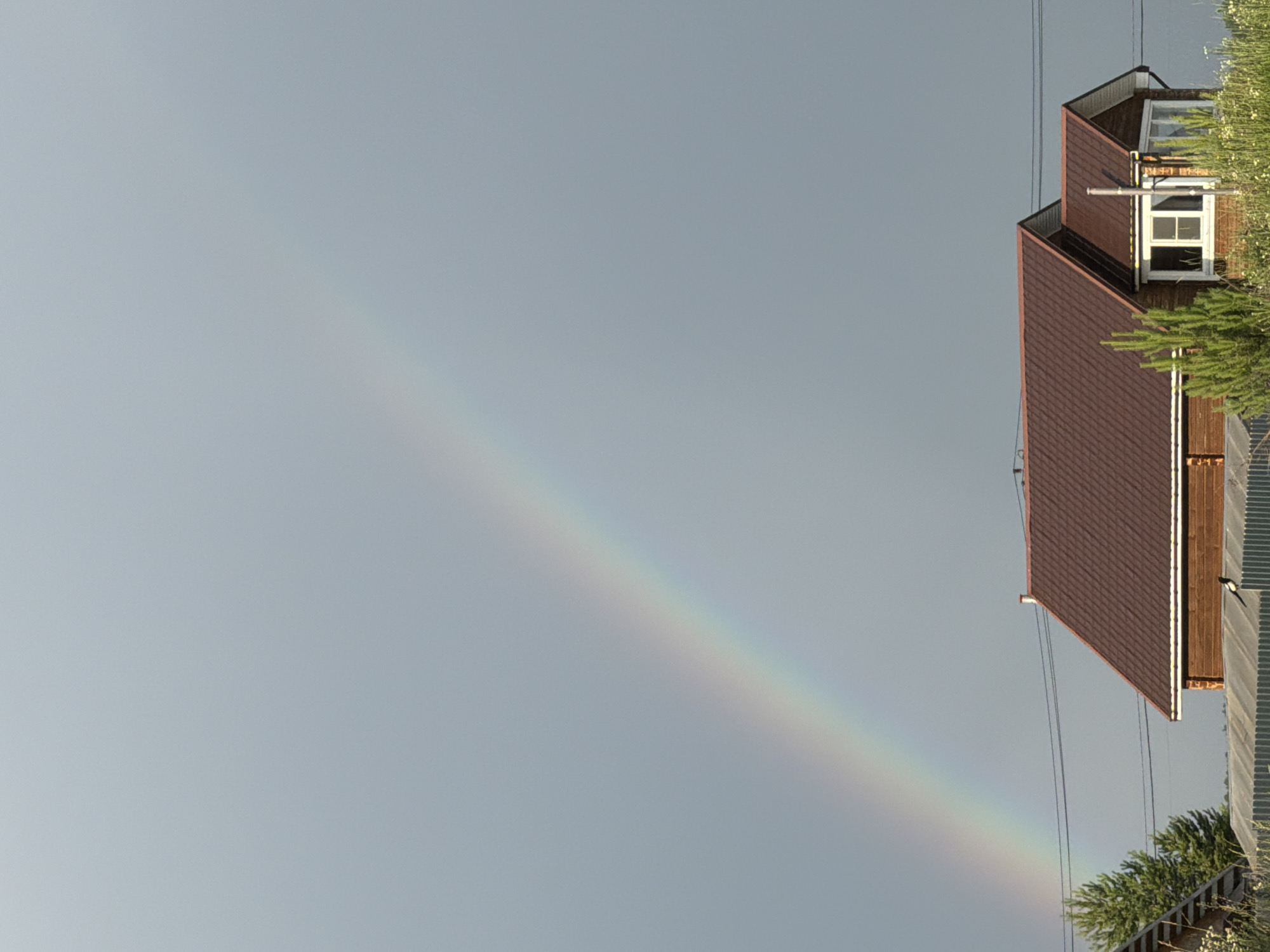 This is a photograph taken in Chaikovsky, Russia, showing a rainbow arcing across a pale gray sky. The image is oriented vertically, with the right side of the frame dominated by the roof of a building. The building appears to be made of wood and has a dark reddish-brown tiled roof with a distinct multi-level, angular design. There are two windows visible on the upper section of the building, one with a white frame and the other with a dark frame. Power lines stretch across the sky, intersecting the view of the building and the rainbow. To the far right, there are green trees and foliage, some of which are close to the building. A small black bird is perched on the side of the building. The lighting suggests it is daytime, possibly late afternoon or early morning, given the soft light and the presence of the rainbow, which typically appears after rain when the sun is out. The overall mood is peaceful, with the natural phenomenon of the rainbow juxtaposed against the man-made structure. There is no visible text in the image.