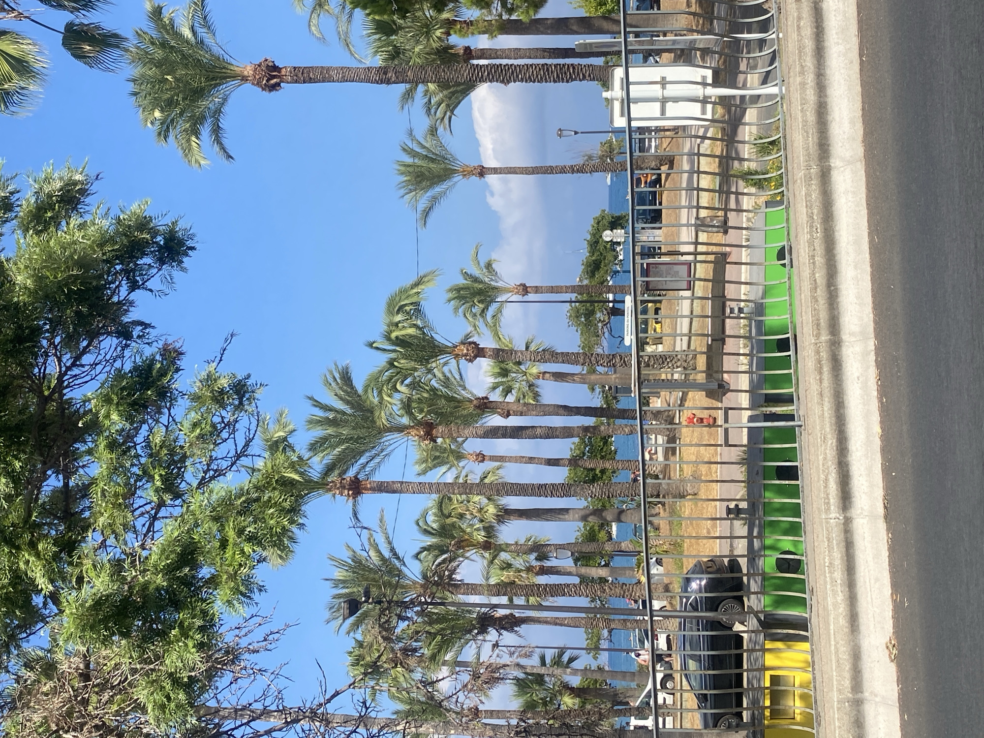 The image depicts a street scene in Antibes, France, likely near the waterfront. A row of palm trees lines a promenade, with the blue sea visible in the background. A metal fence separates the sidewalk from the street. On the sidewalk, there are several trash receptacles, some of which are painted in bright colors like yellow and green. A black car is parked on the side of the road, and a few people are walking on the promenade. The sky is a clear blue with a few scattered clouds. The overall impression is a sunny day in a coastal town.
